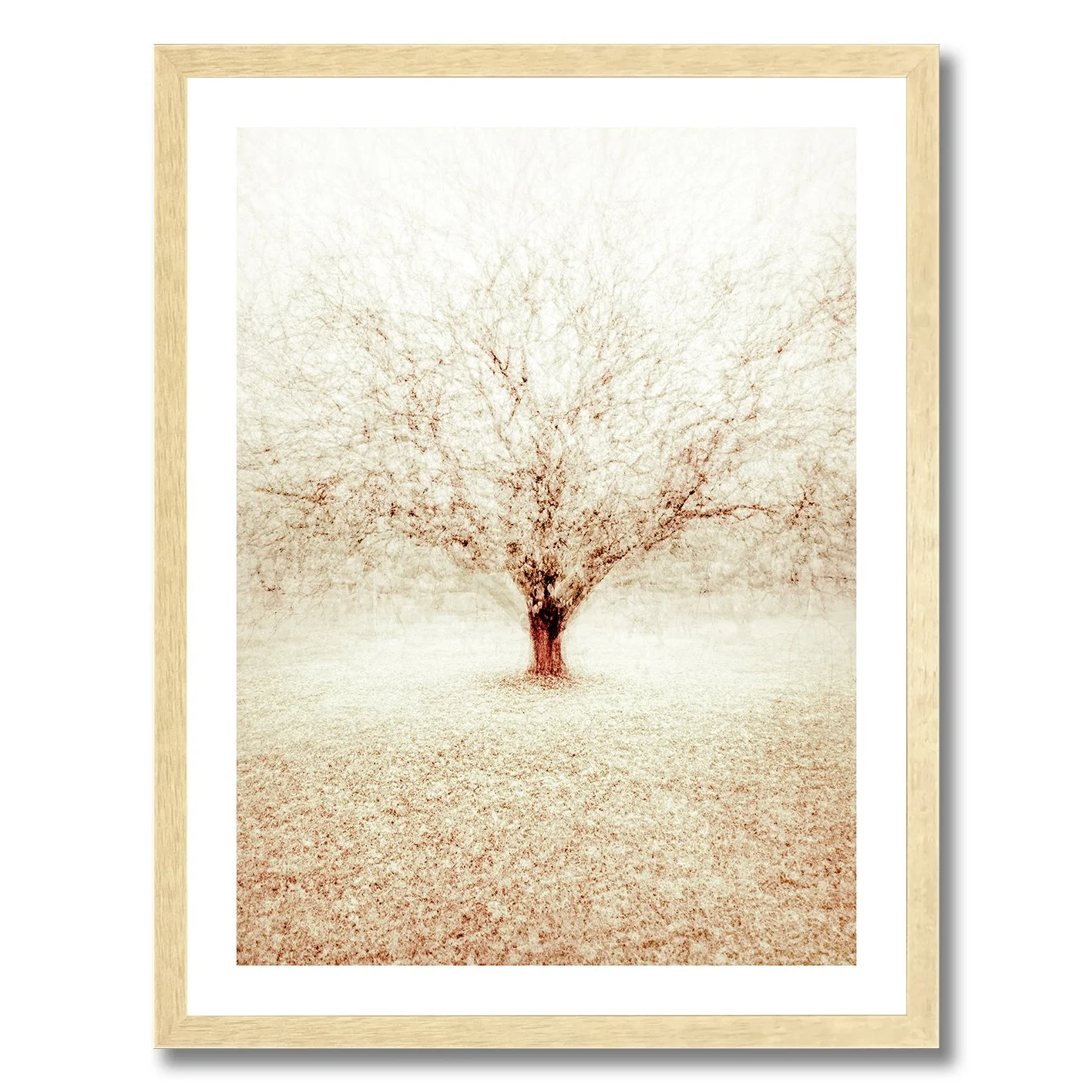 Fine art photograph of a solitary winter tree with layered branches in soft atmospheric tones