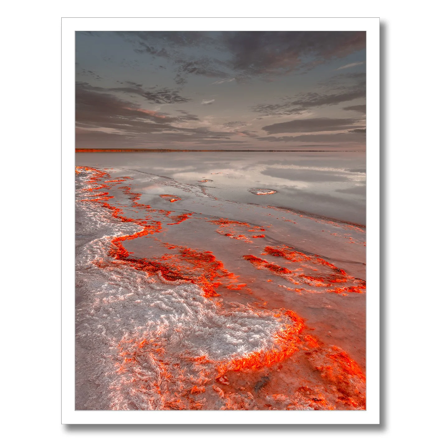 Salt formations glowing red along the reflective shoreline of Lake Tyrrell