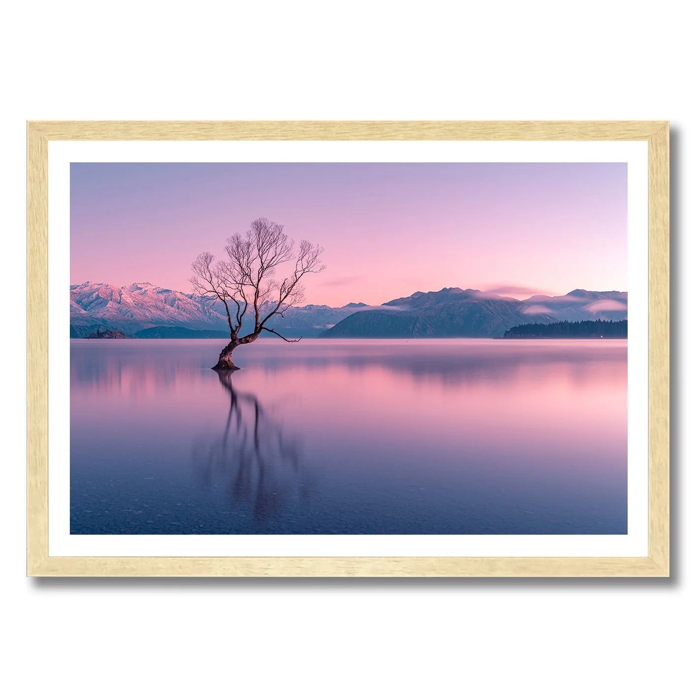 Photograph of the Wanaka tree at dawn with pink sky, calm water and mountain reflections