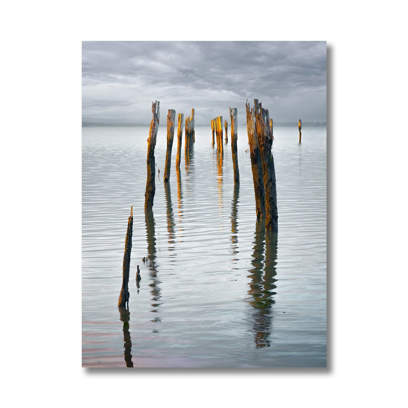 Photograph of old jetty pylons reflecting in calm water at Tenby Point, Victoria