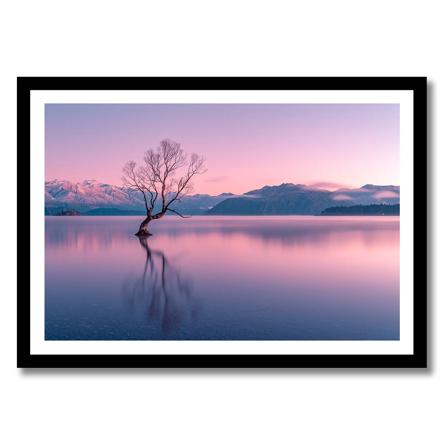 Photograph of the Wanaka tree at dawn with pink sky, calm water and mountain reflections
