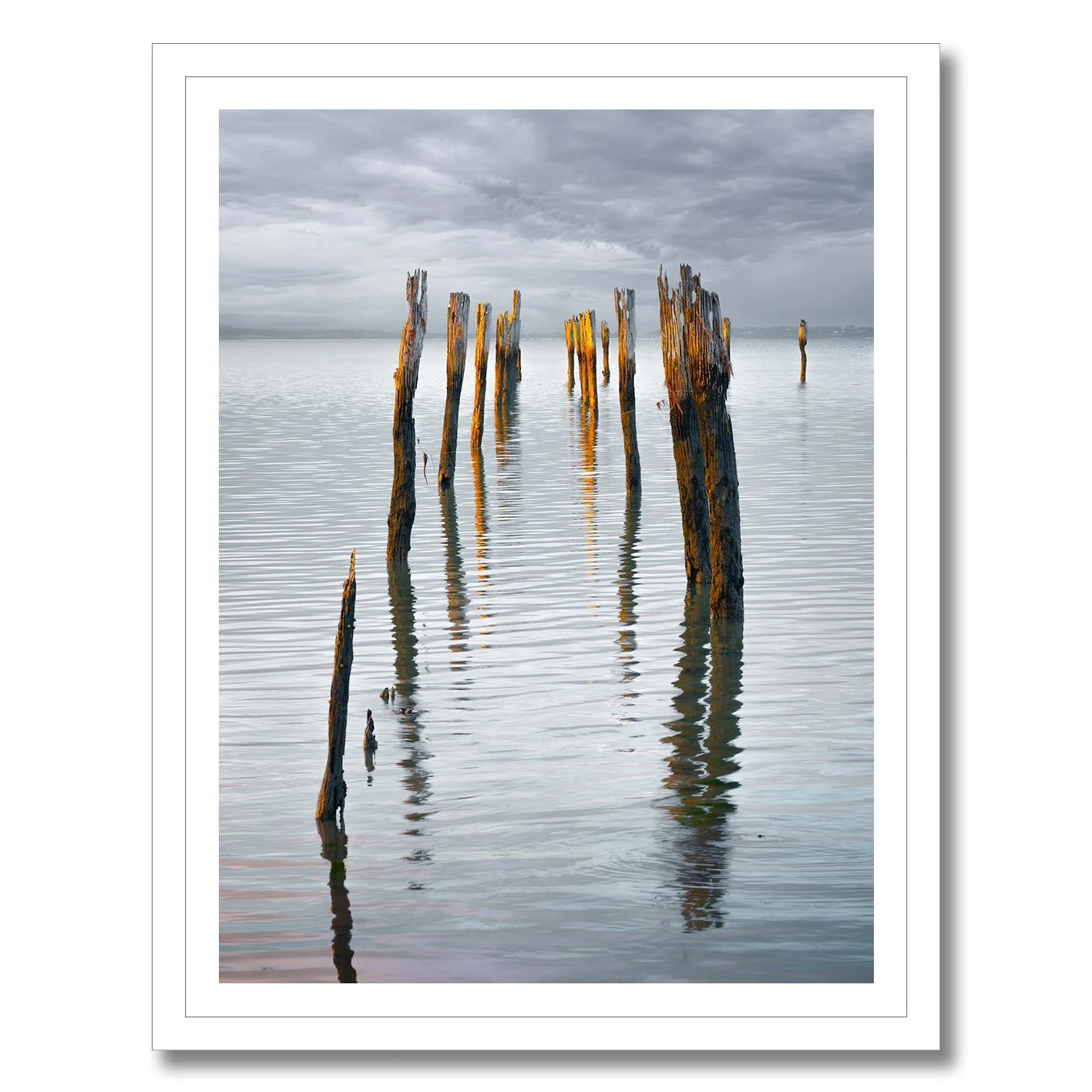 Photograph of old jetty pylons reflecting in calm water at Tenby Point, Victoria