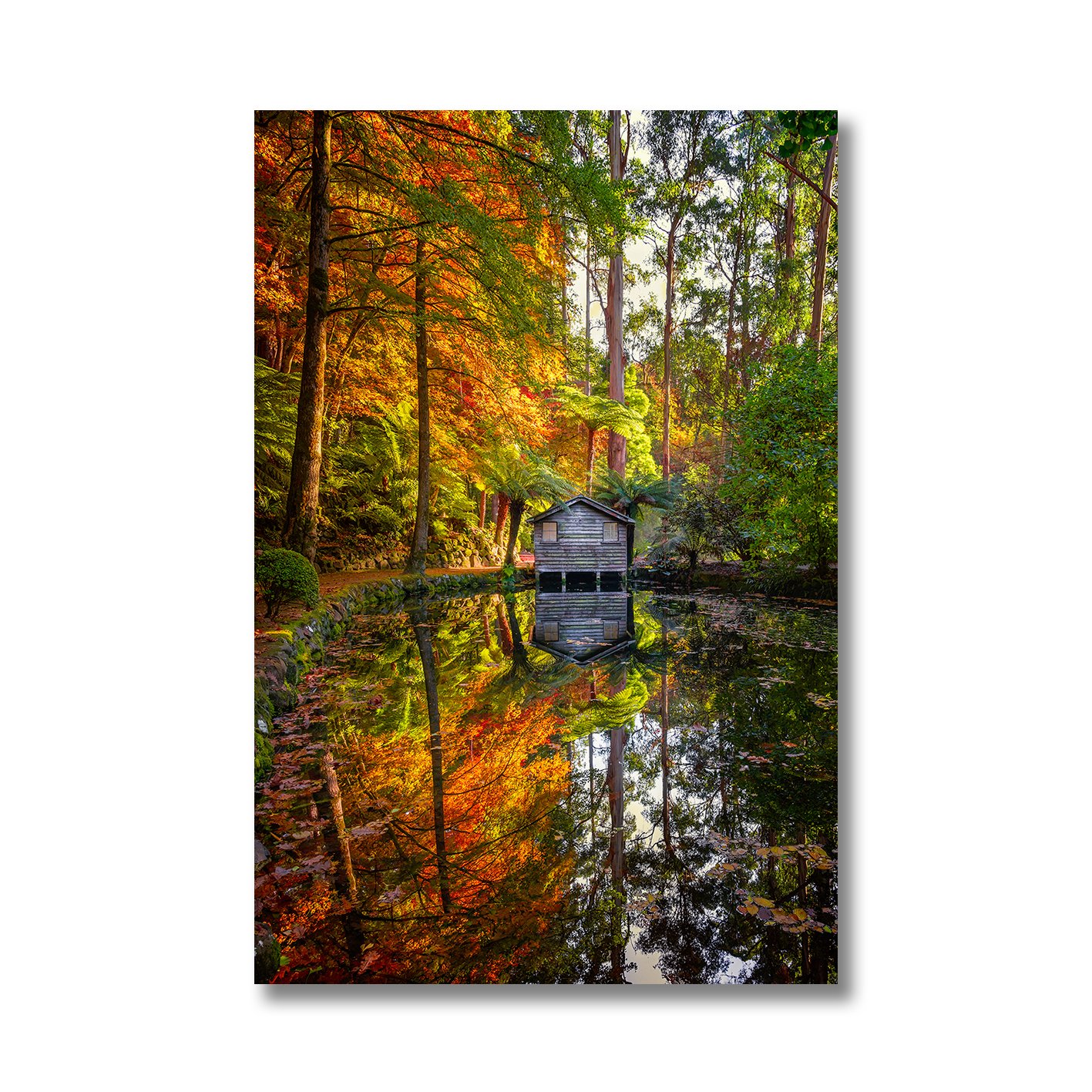 Autumn garden photograph with boathouse, colourful forest and mirrored pond reflection