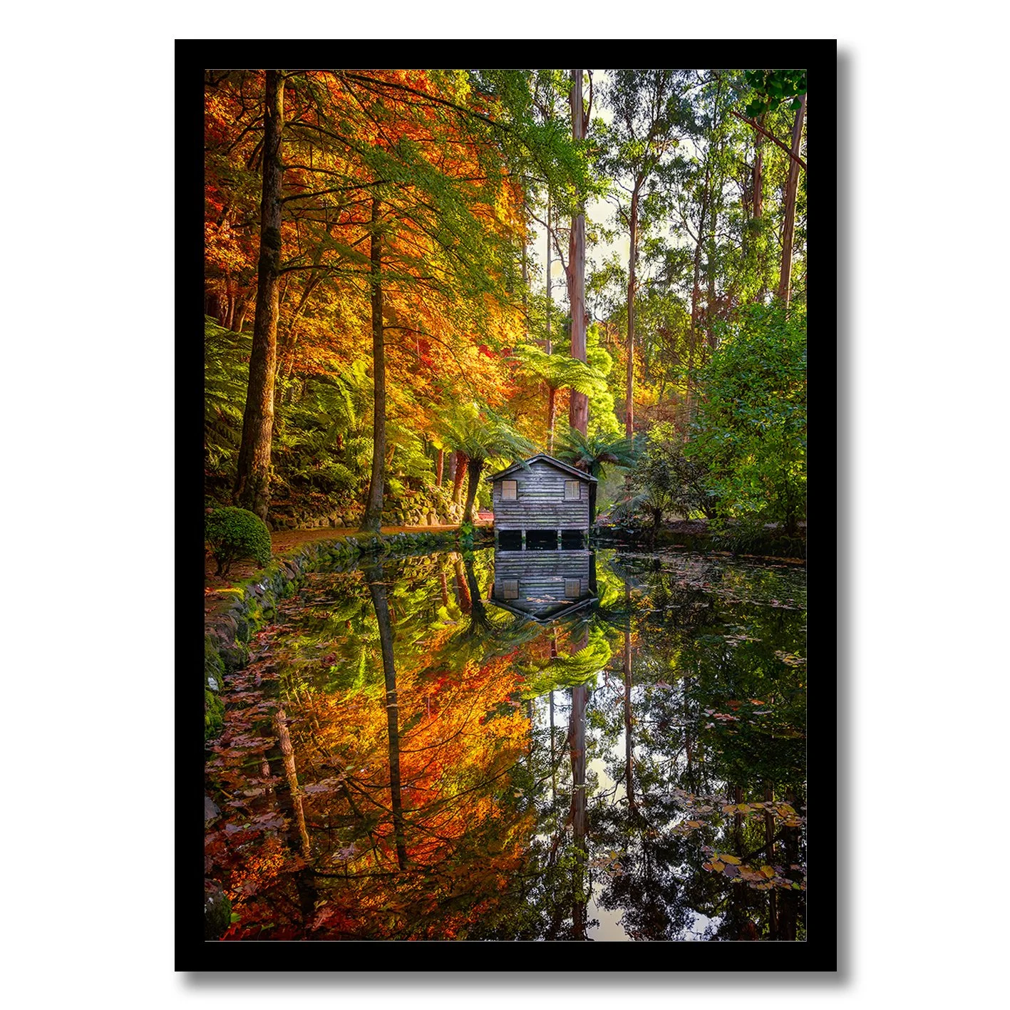 Autumn garden photograph with boathouse, colourful forest and mirrored pond reflection