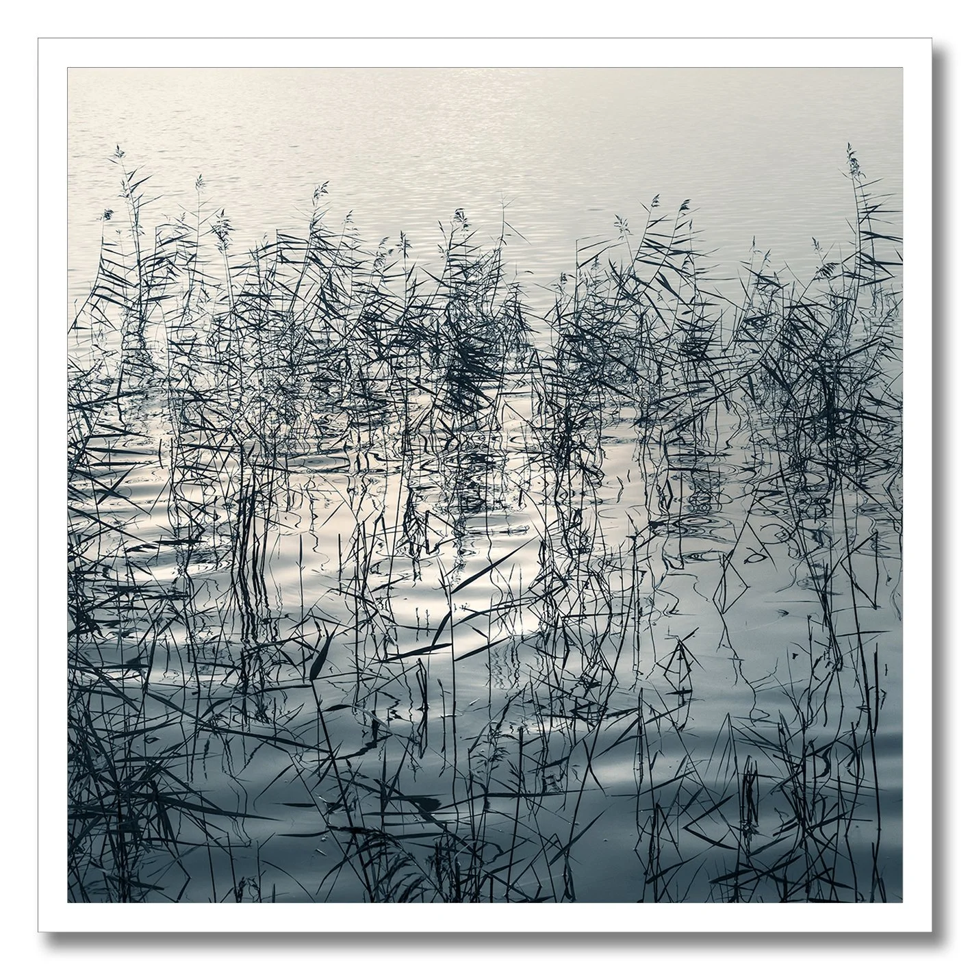 Fine art photograph of reeds and reflections creating abstract patterns on still water