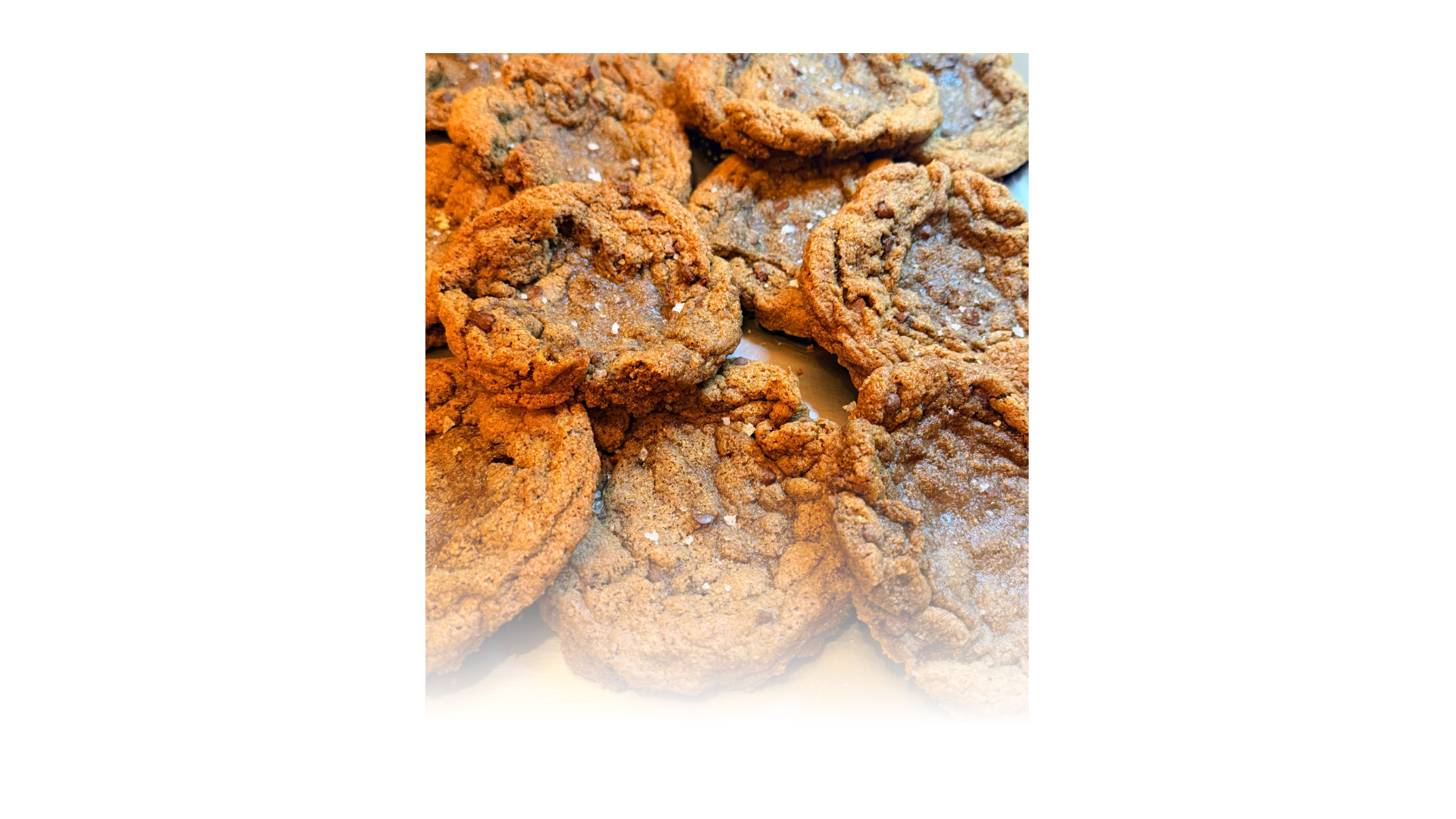Untitled design(13).png