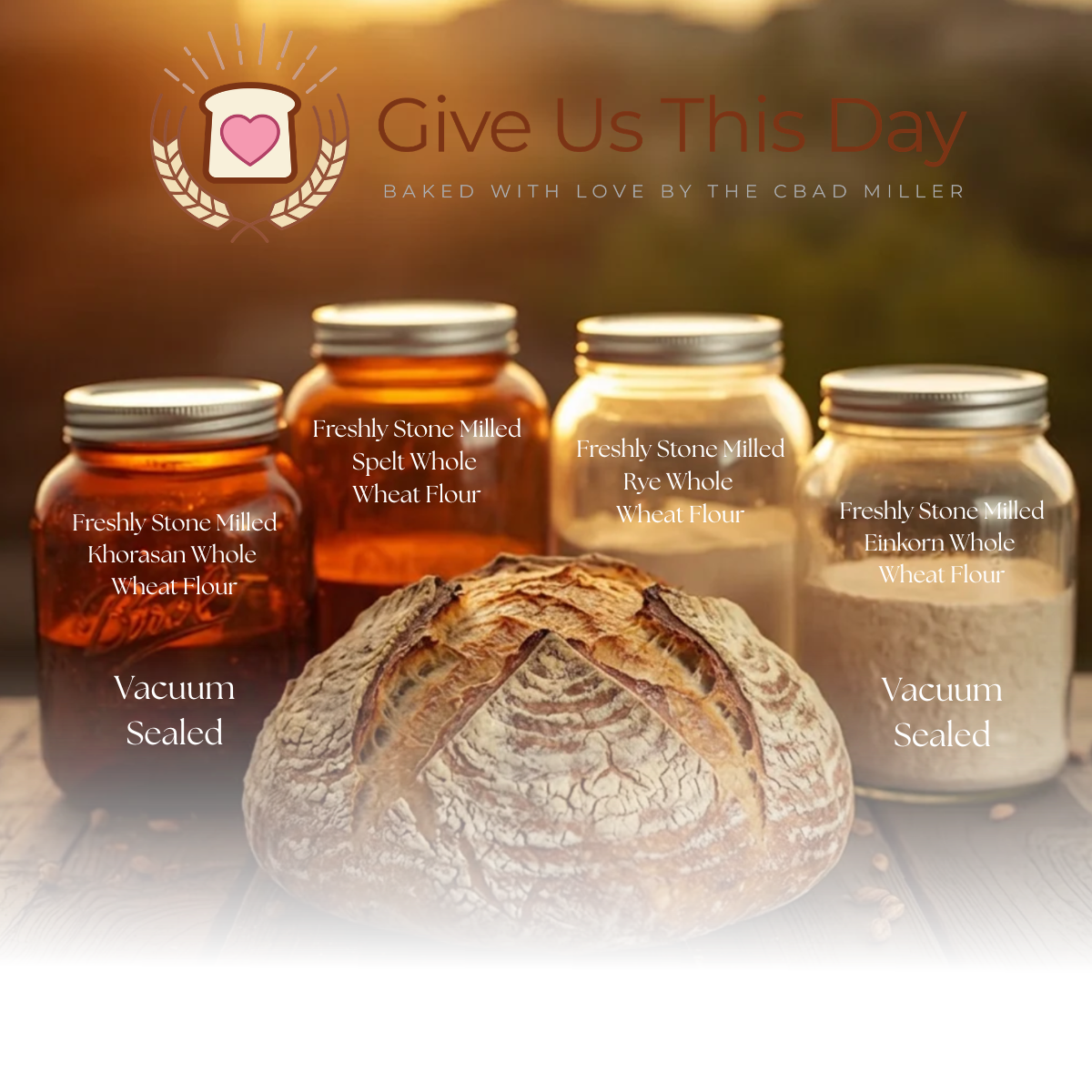 Four jars of freshly stone-milled wheat flour varieties and a loaf of bread in front of them, with a background of warm, blurred colors. The jars are labeled with different wheat types: Khorasan, Spelt, Rye, and Einkorn, with indications that they ar