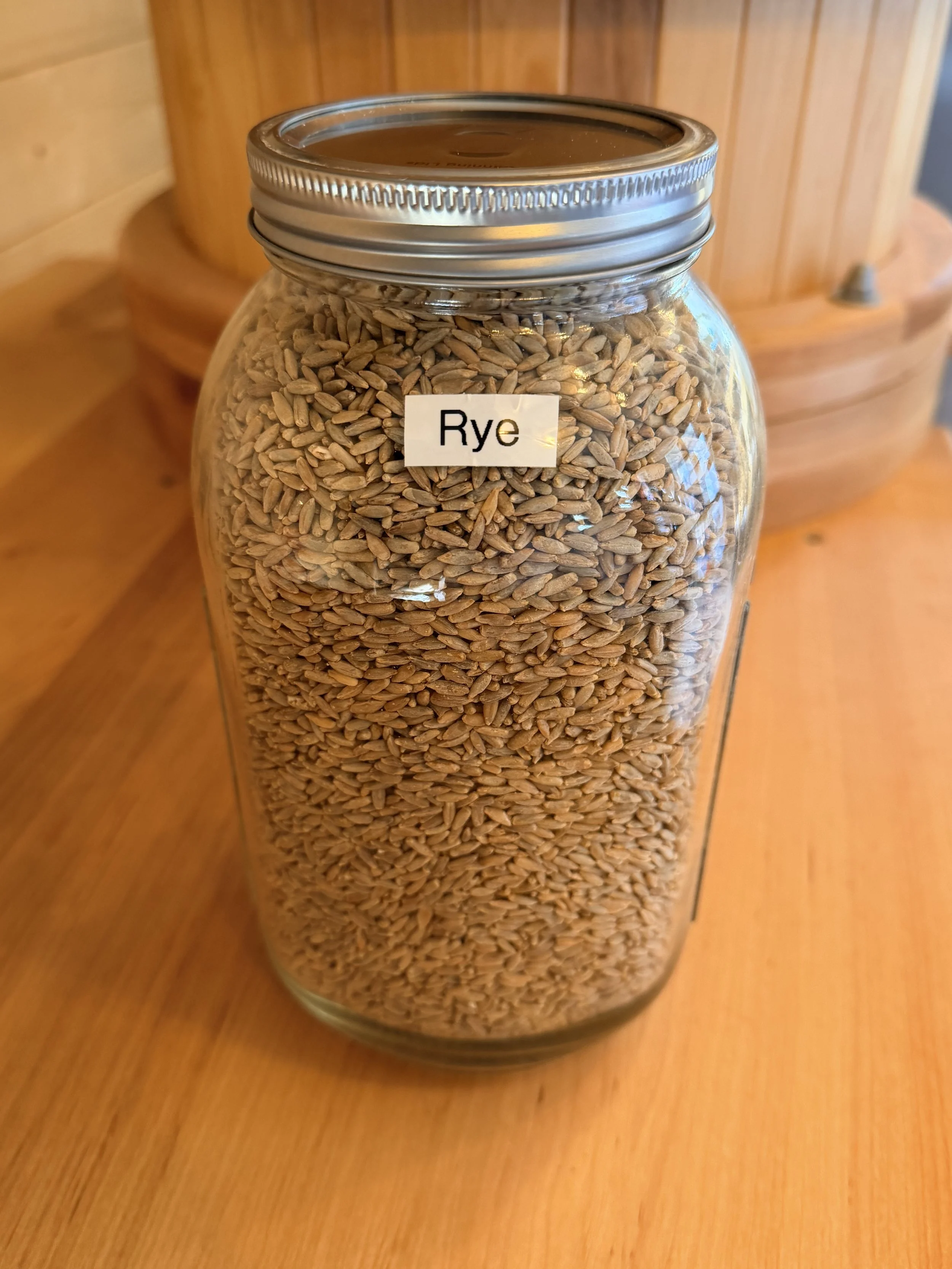 Organic Rye Wheat Berries  per oz 0.22 cents per ounce or by the pound