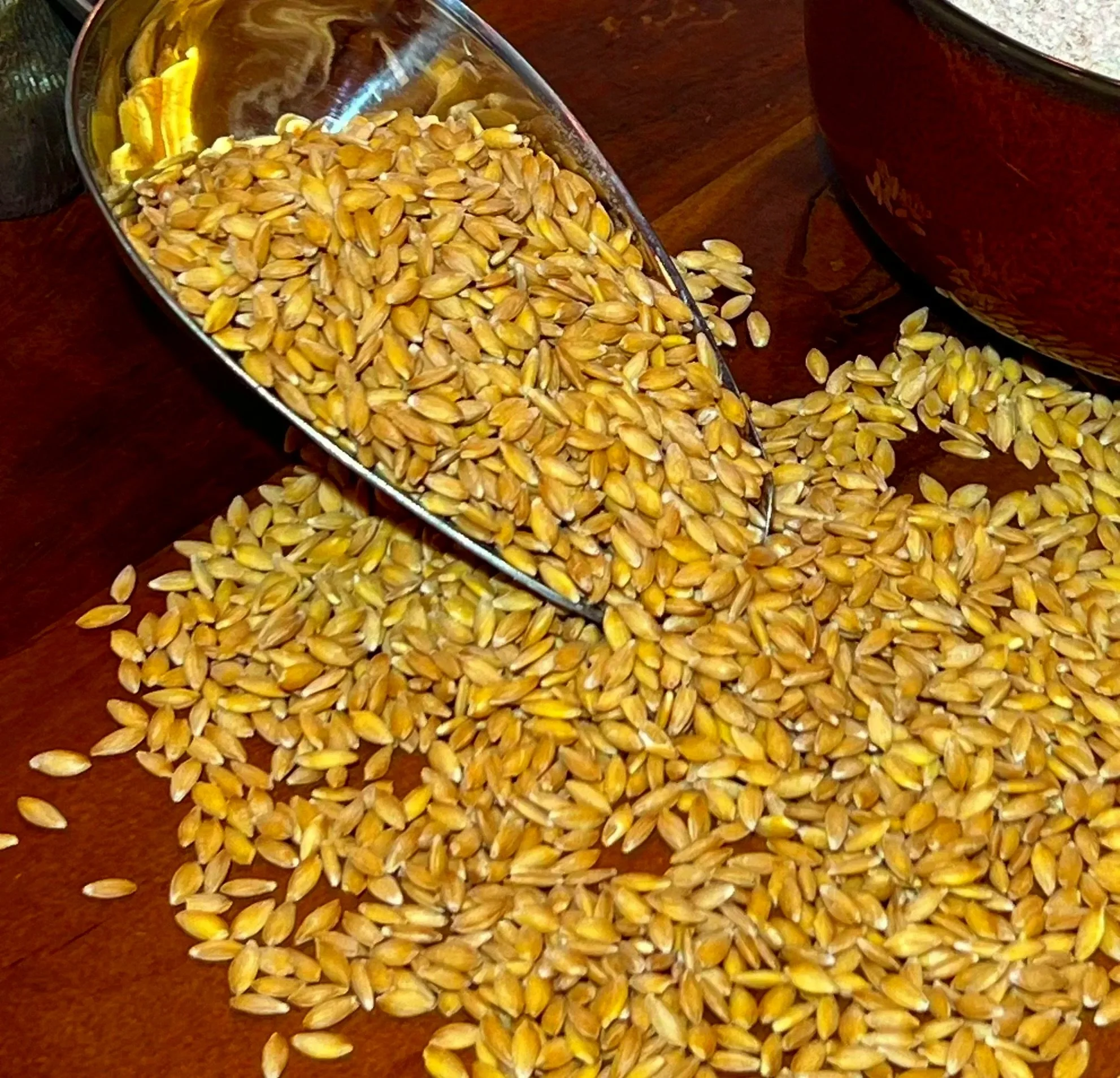 Organic Einkorn Whole Wheat Berries per oz 0.35 cents