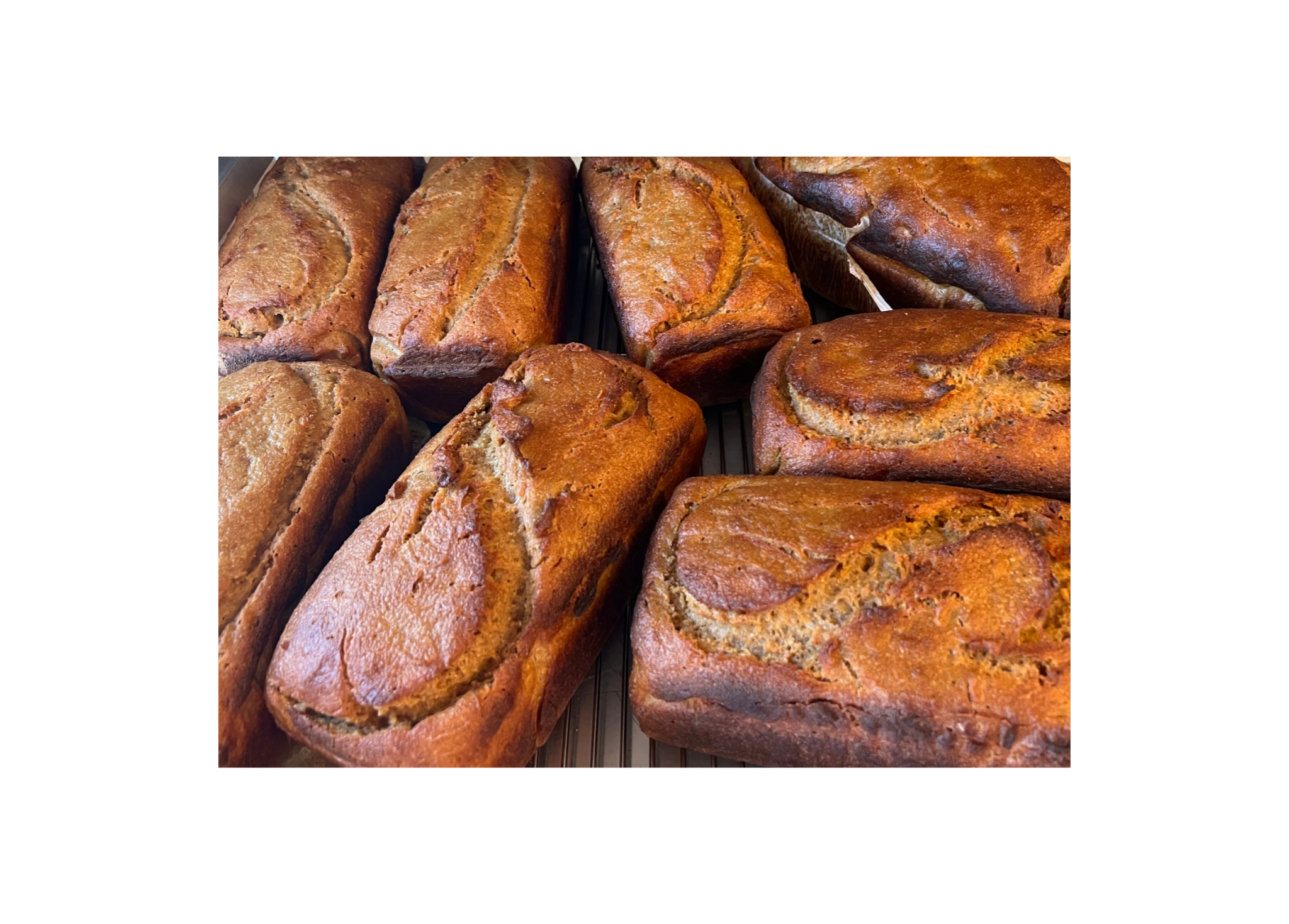 Einkorn Stone Milled Whole Wheat Sourdough