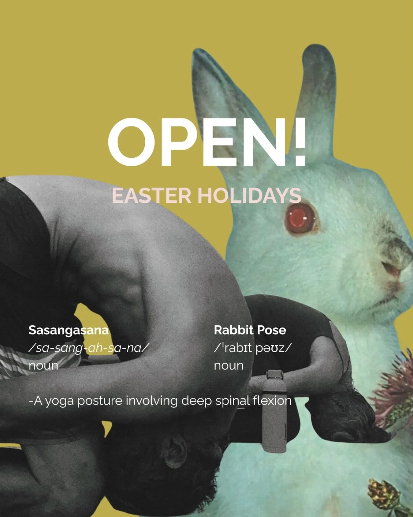 Easter Holidays = OPEN 
Running all classes as per usual. 🐇 
Hop into a class this weekend and feel cute