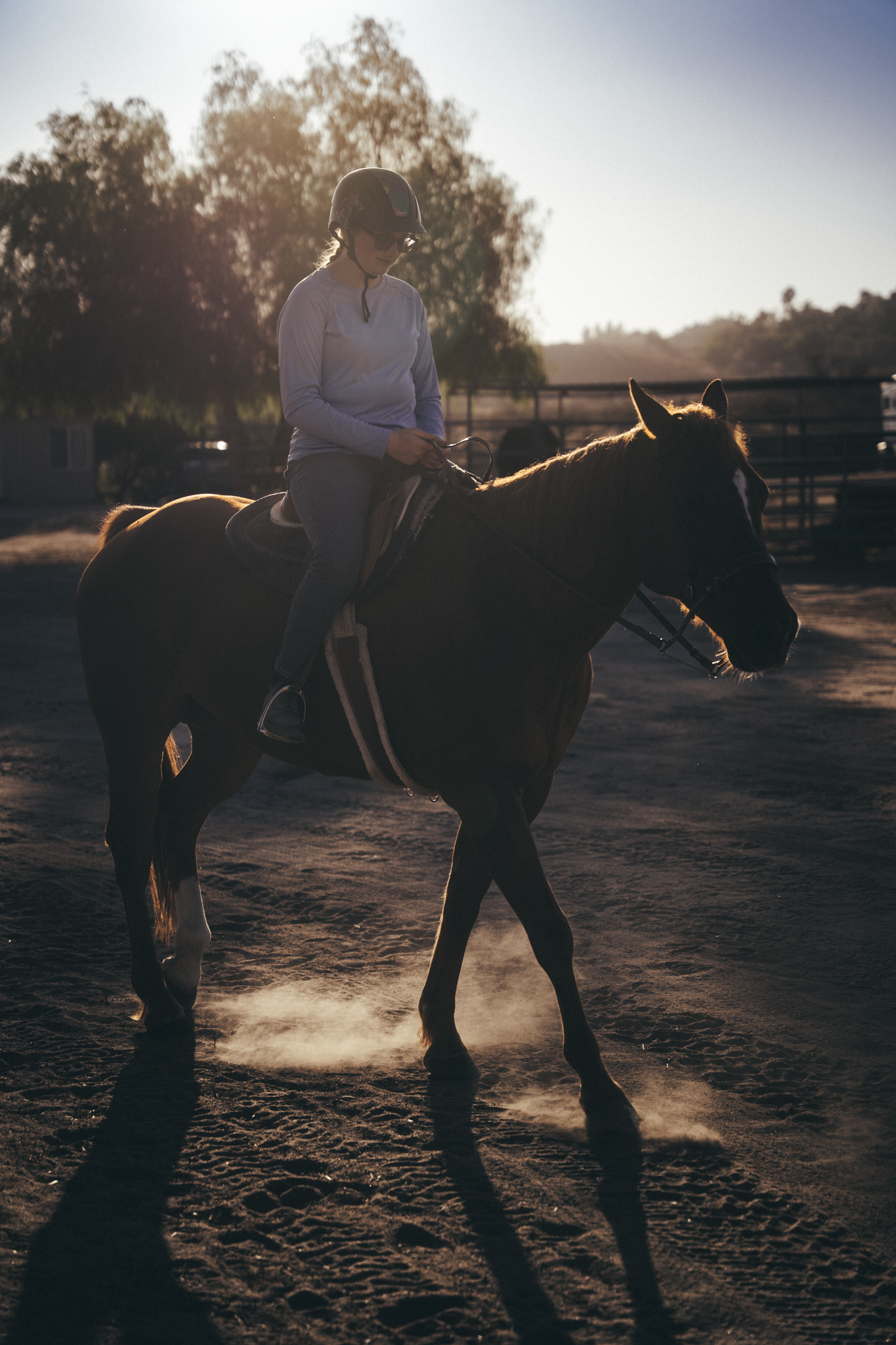 DSC02556.png