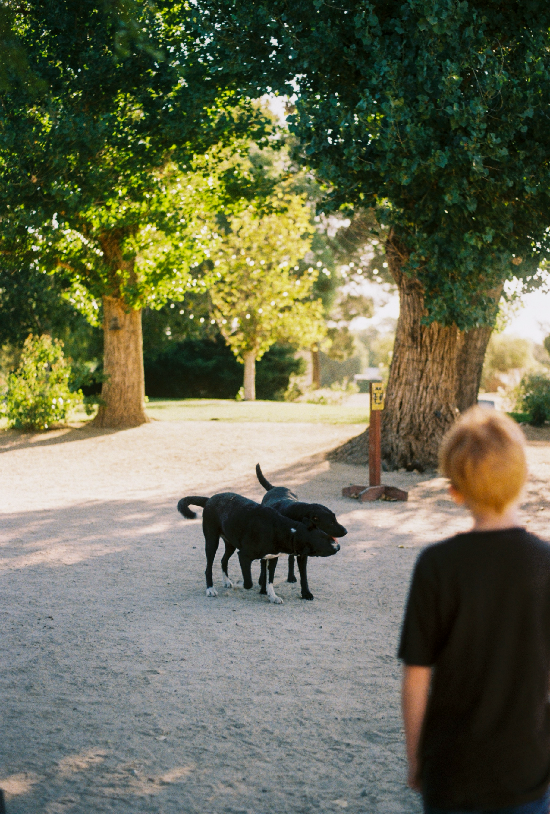 Untitled (7560 x 1350 px) (1).png