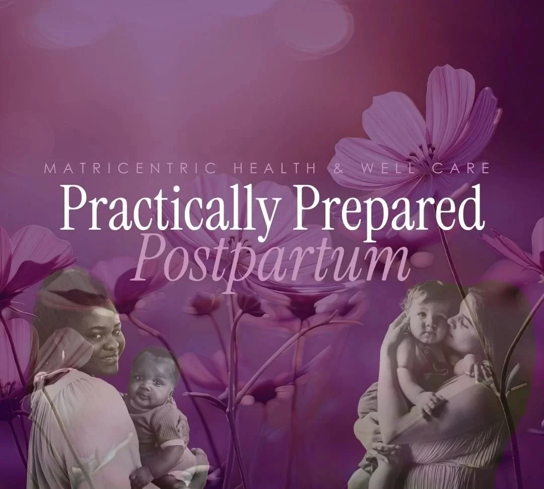 Practically Prepared Postpartum 2-hour Course   MAY 17th   at   12PM EST