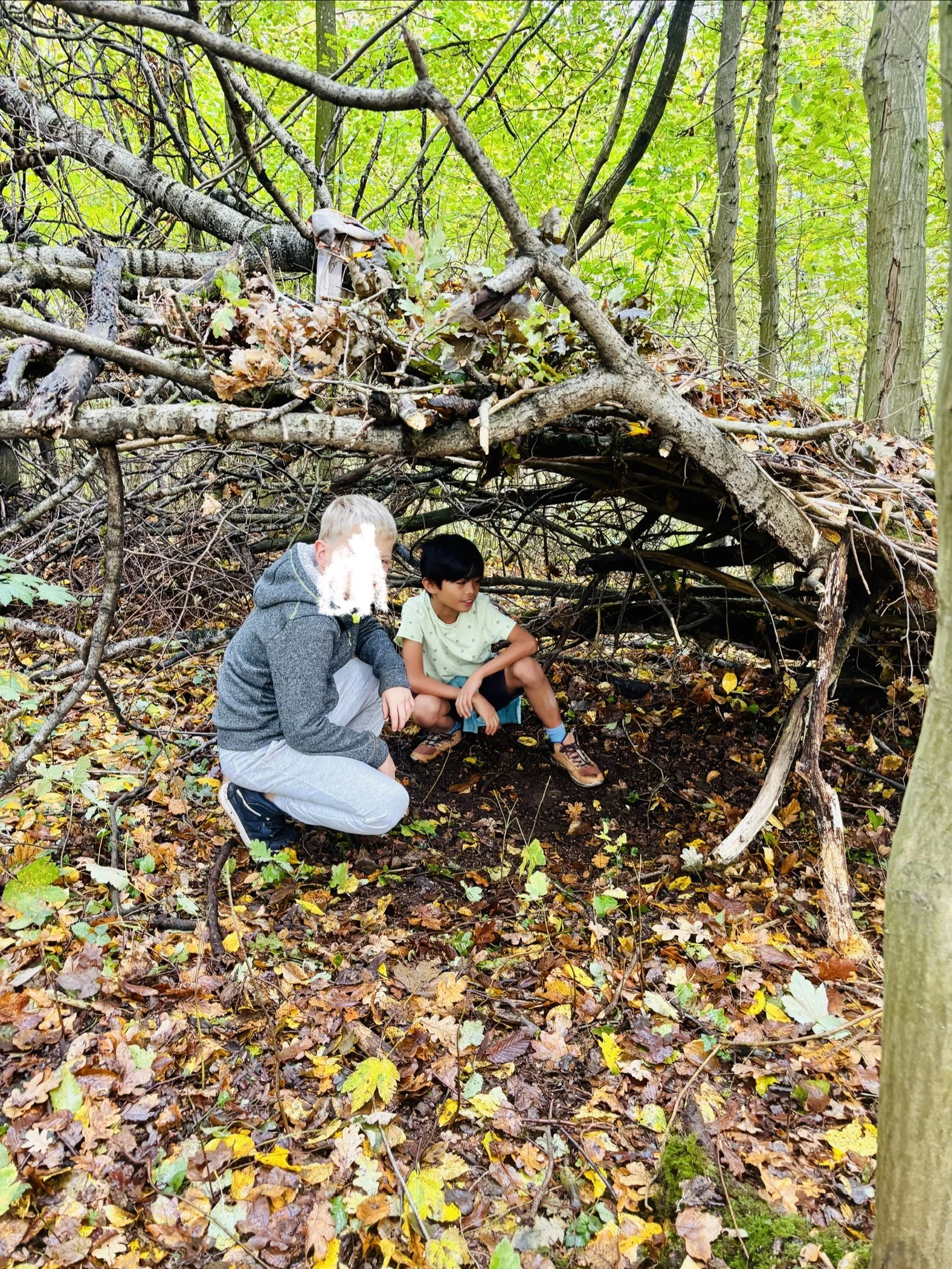On construit aussi des cabanes avec Kaleido.