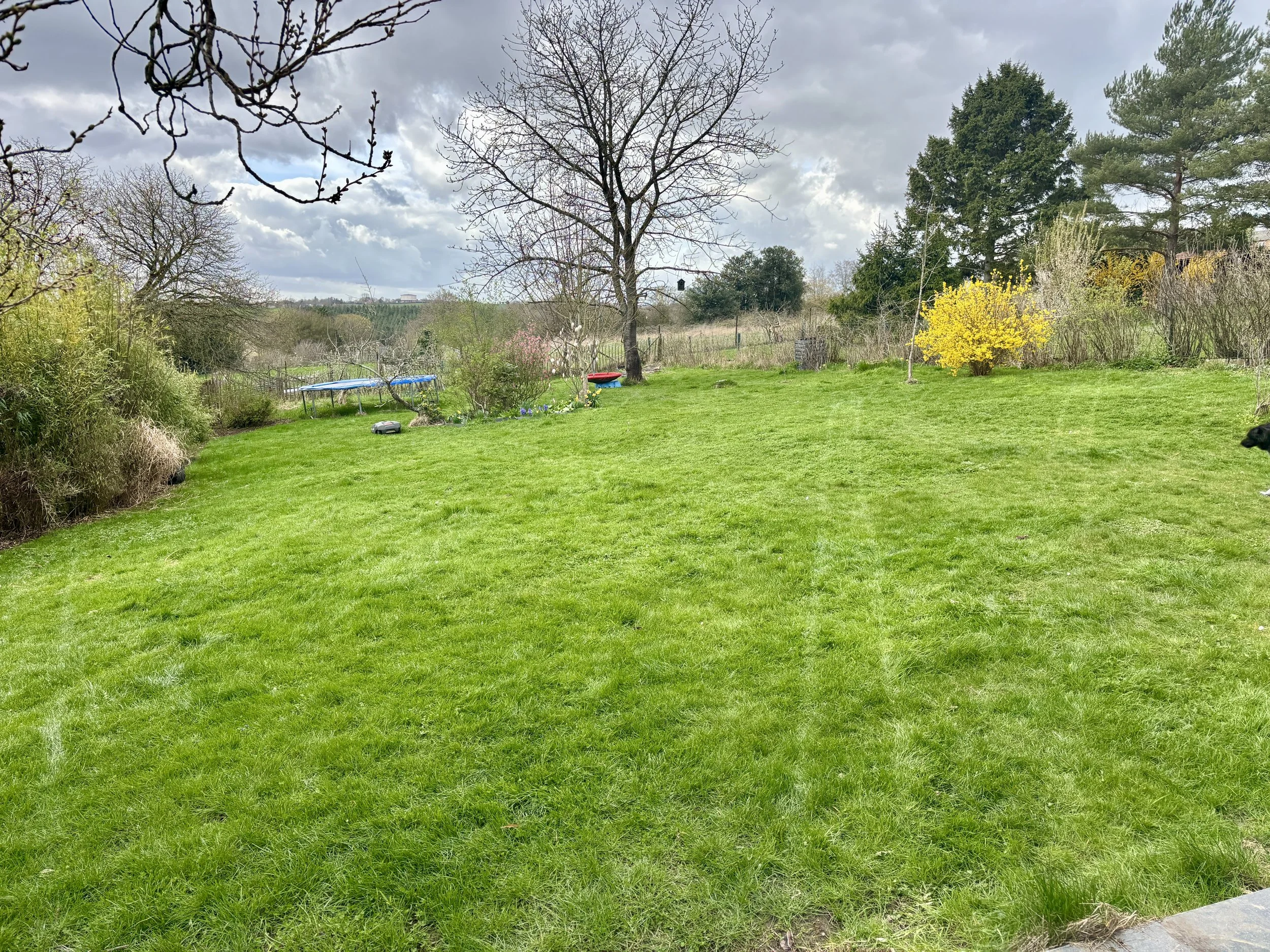 Grand jardin avec pelouse verte, le nécessaire pour jouer et s'amuser entre deux apprentissages dans la classe Kaleido.