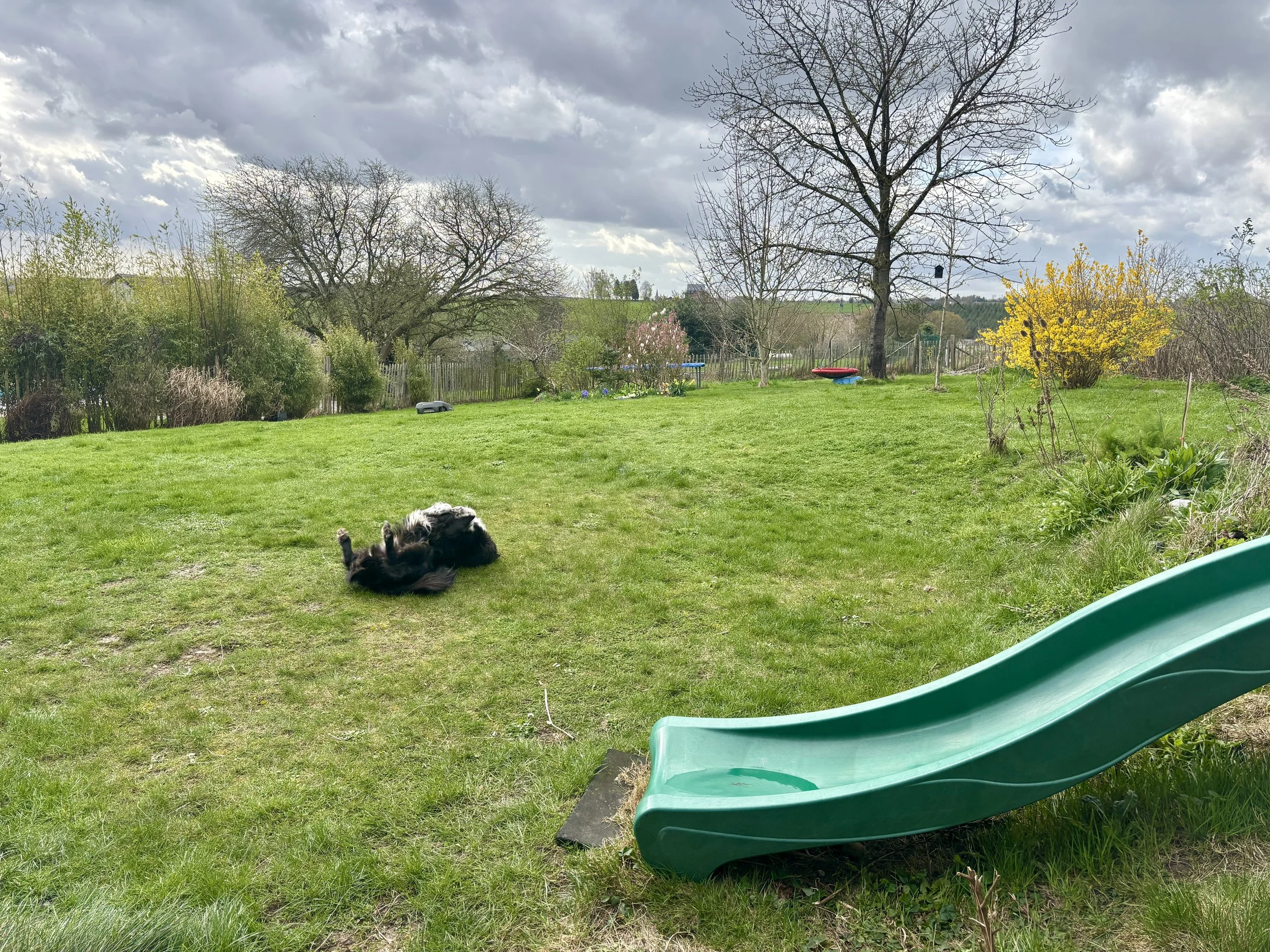 Le chien ne fait pas partie des élèves mais il est présent et permet d'apaiser des tensions et nous suit dans les balades.