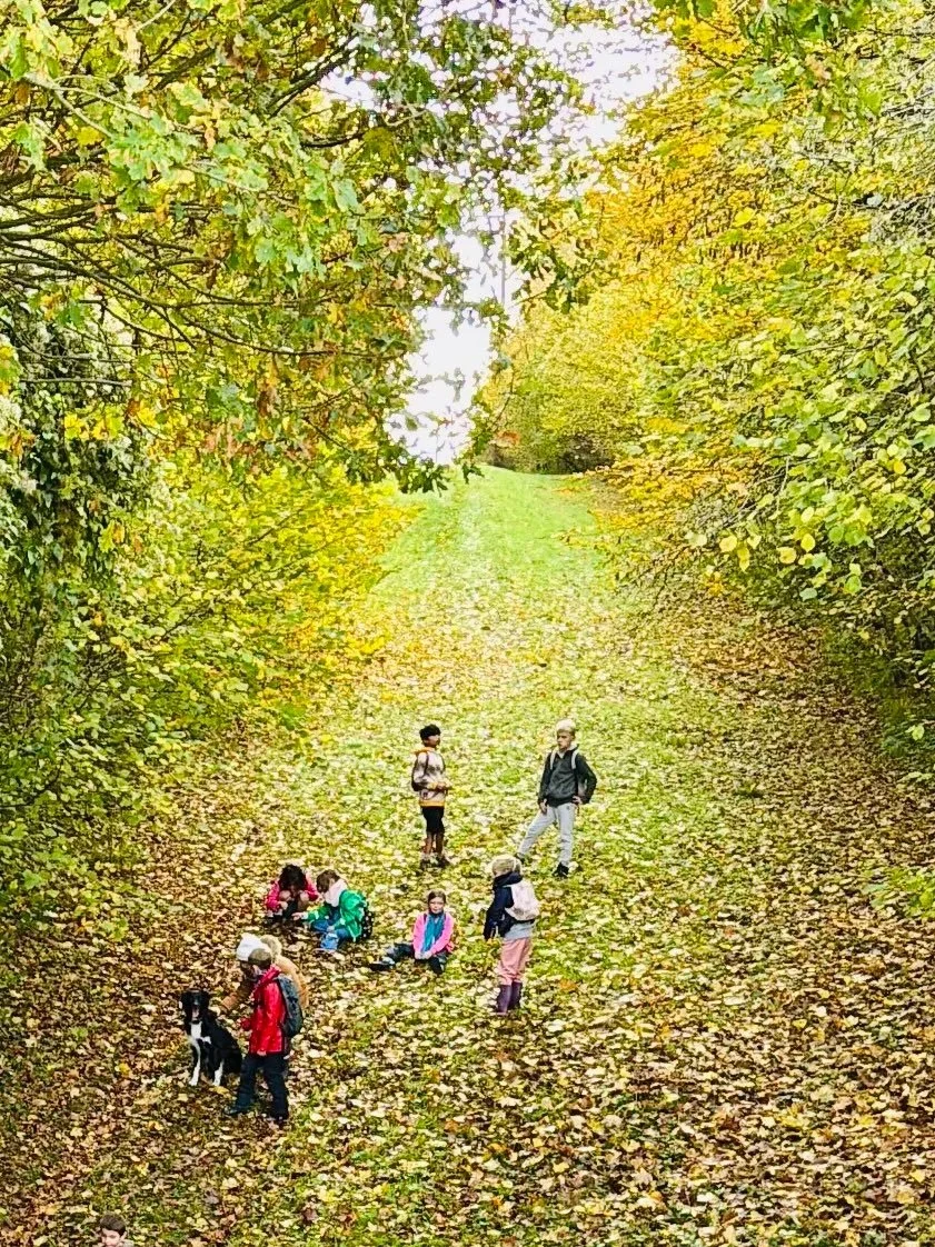 Groupe d'enfants et d'adultes en randonnée dans une forêt aux feuilles d'automne dans la classe Kaleido.