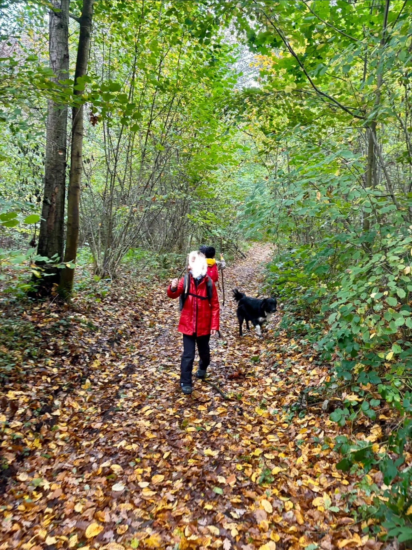 Dans la forêt, on se ressource, on respire à fond, on joue, on se promène et on observe avec la classe Kaleido.