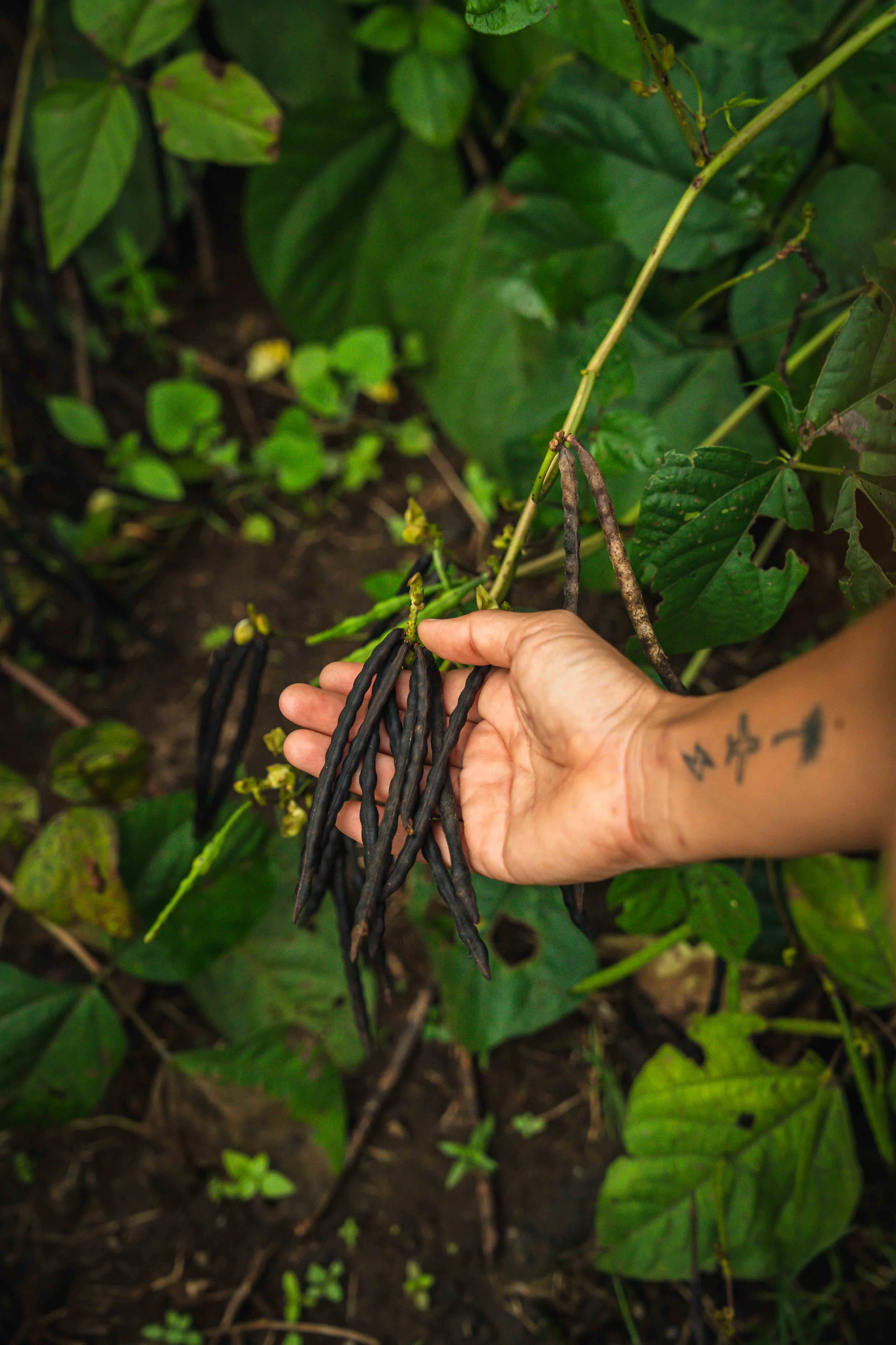 Subli Day 1 July 11 2025-307.jpg