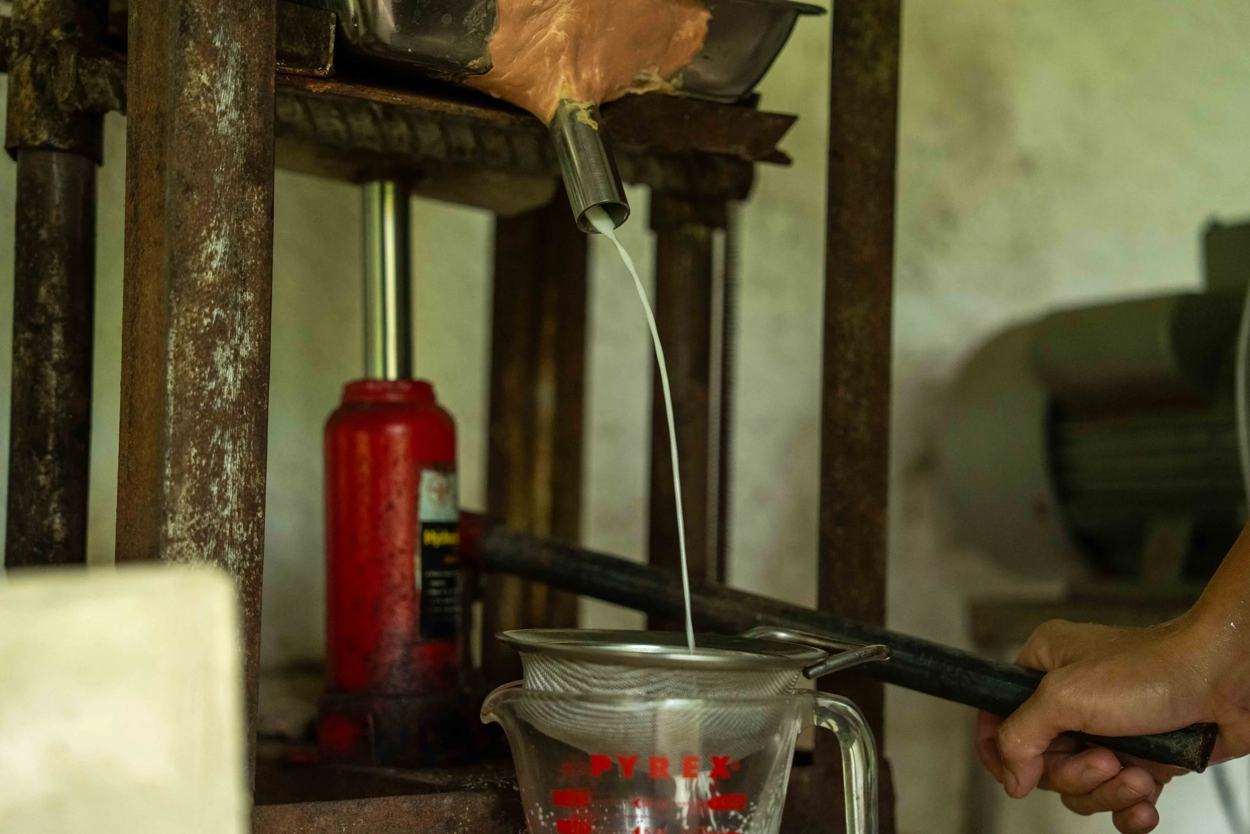 Subli Photos Batch 2-105.jpg