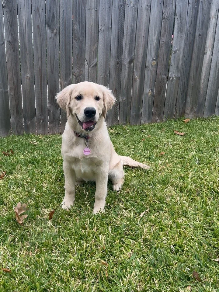 We&rsquo;ve had a busy first month! Three industries. Three totally different audiences. One goal: content that connects 💬

From real estate to natural dog treats to cooking classes, this month has been full of creative challenges and fun filming da