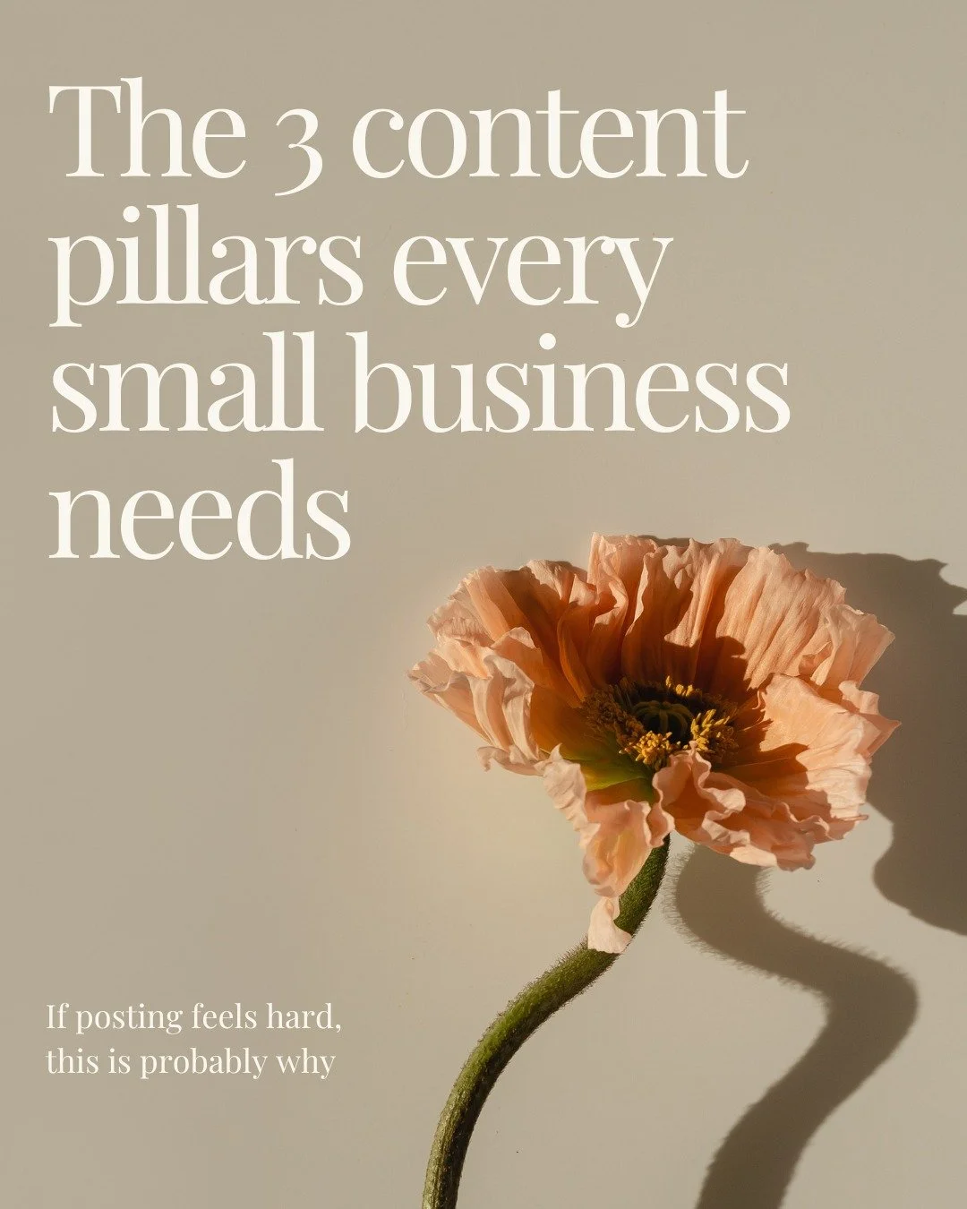 f your content feels all over the place, it&rsquo;s usually not a motivation problem, it&rsquo;s a strategy problem.

These three content pillars help you stay consistent without burning out or sounding salesy.

Once you know your pillars, content be