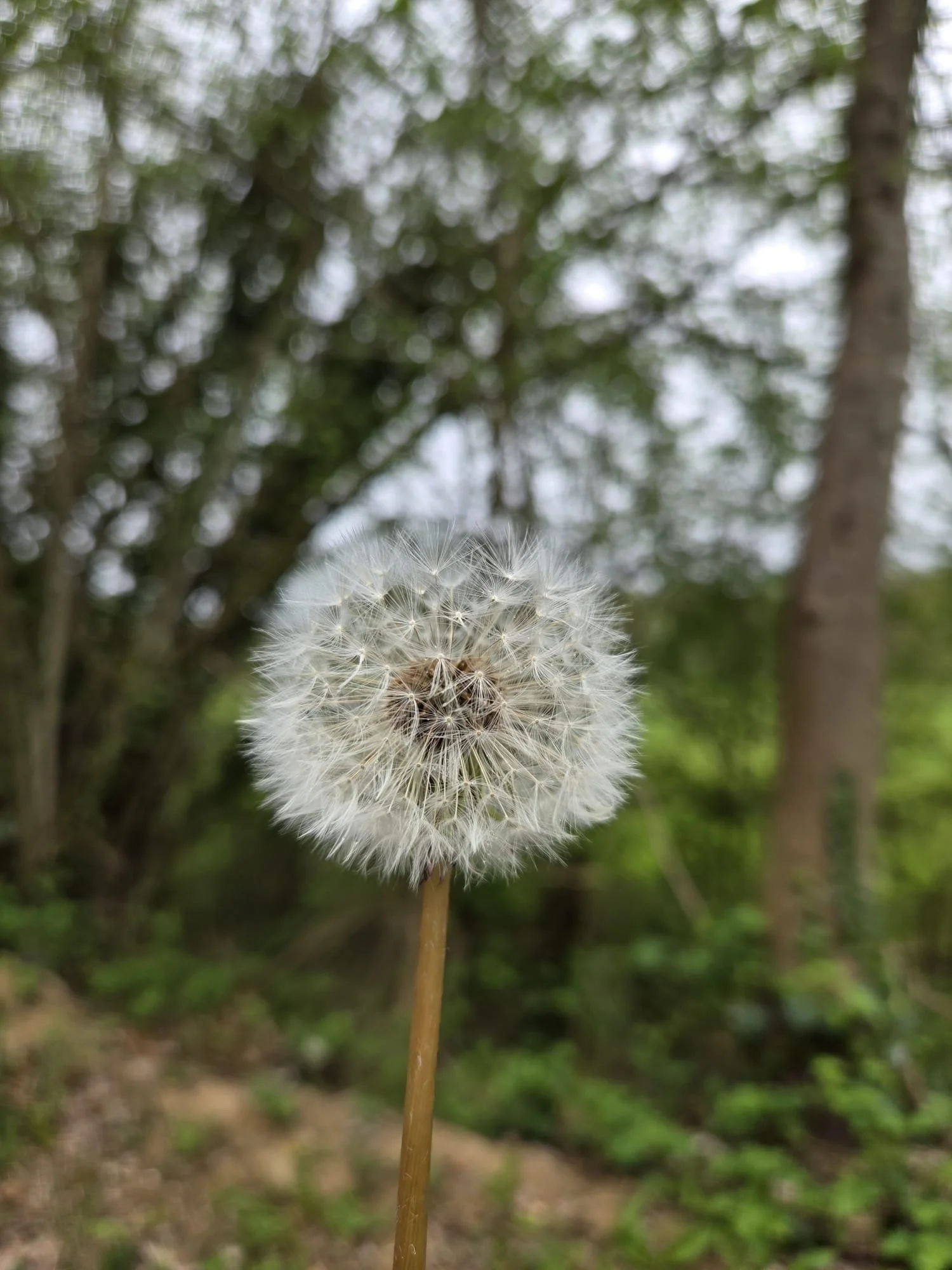 WhatsApp Image 2026-04-12 at 11.24.58 (1).jpeg