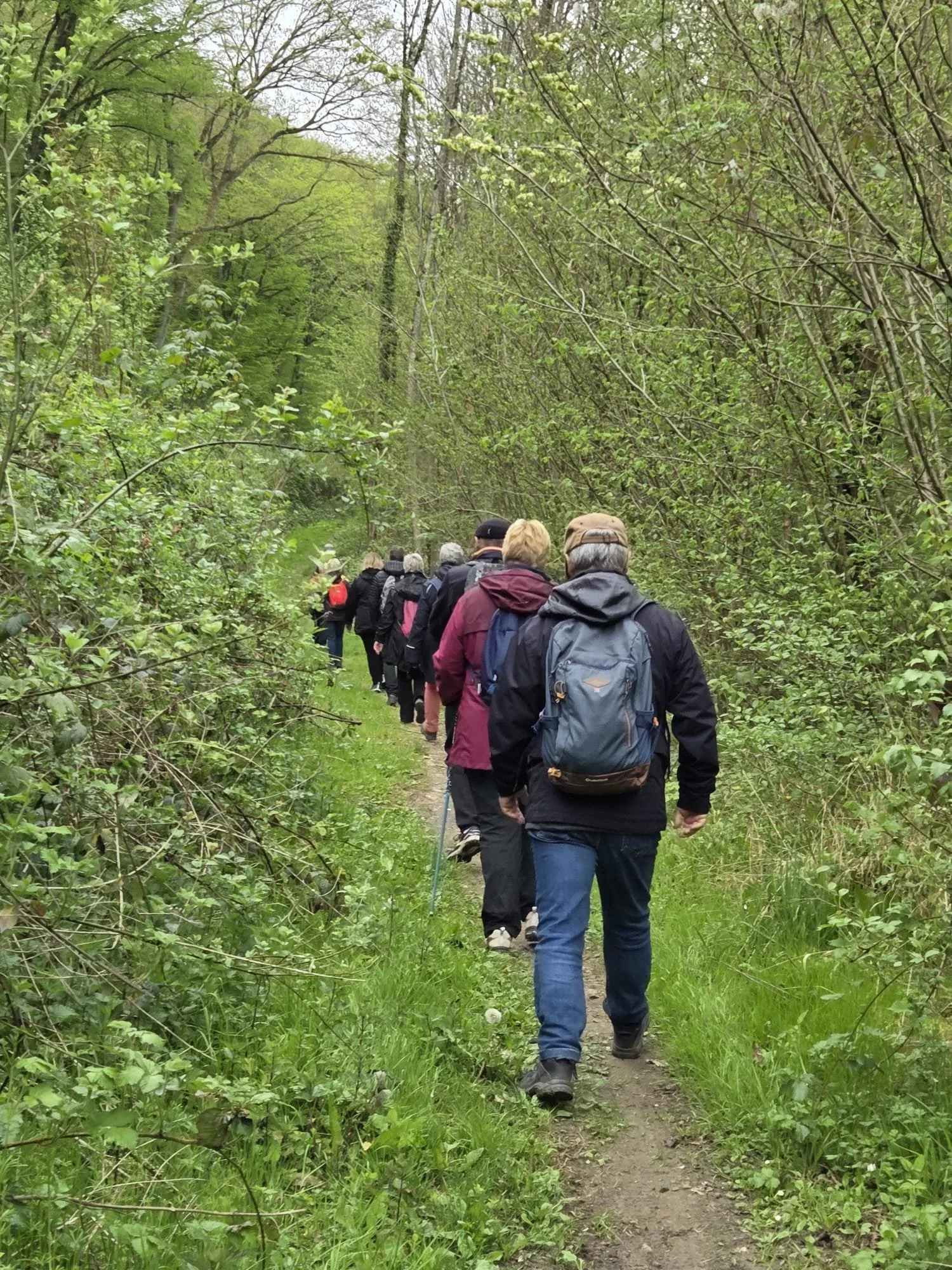 WhatsApp Image 2026-04-12 at 11.24.58 (2).jpeg