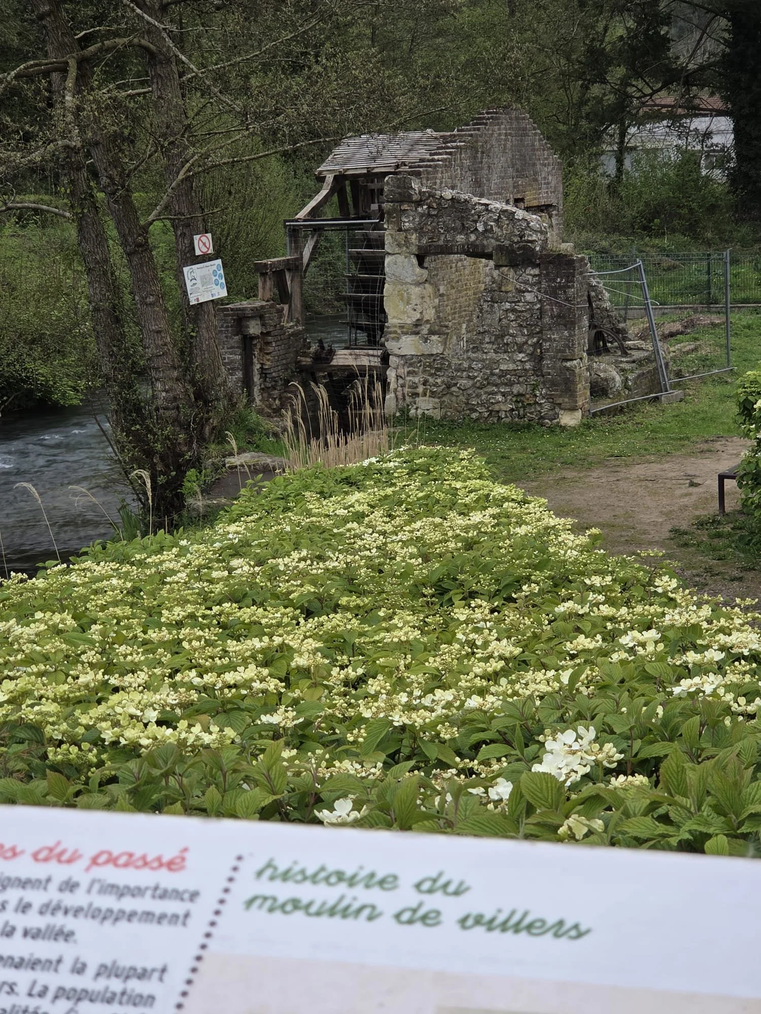 WhatsApp Image 2026-04-12 at 11.24.58 (3).jpeg