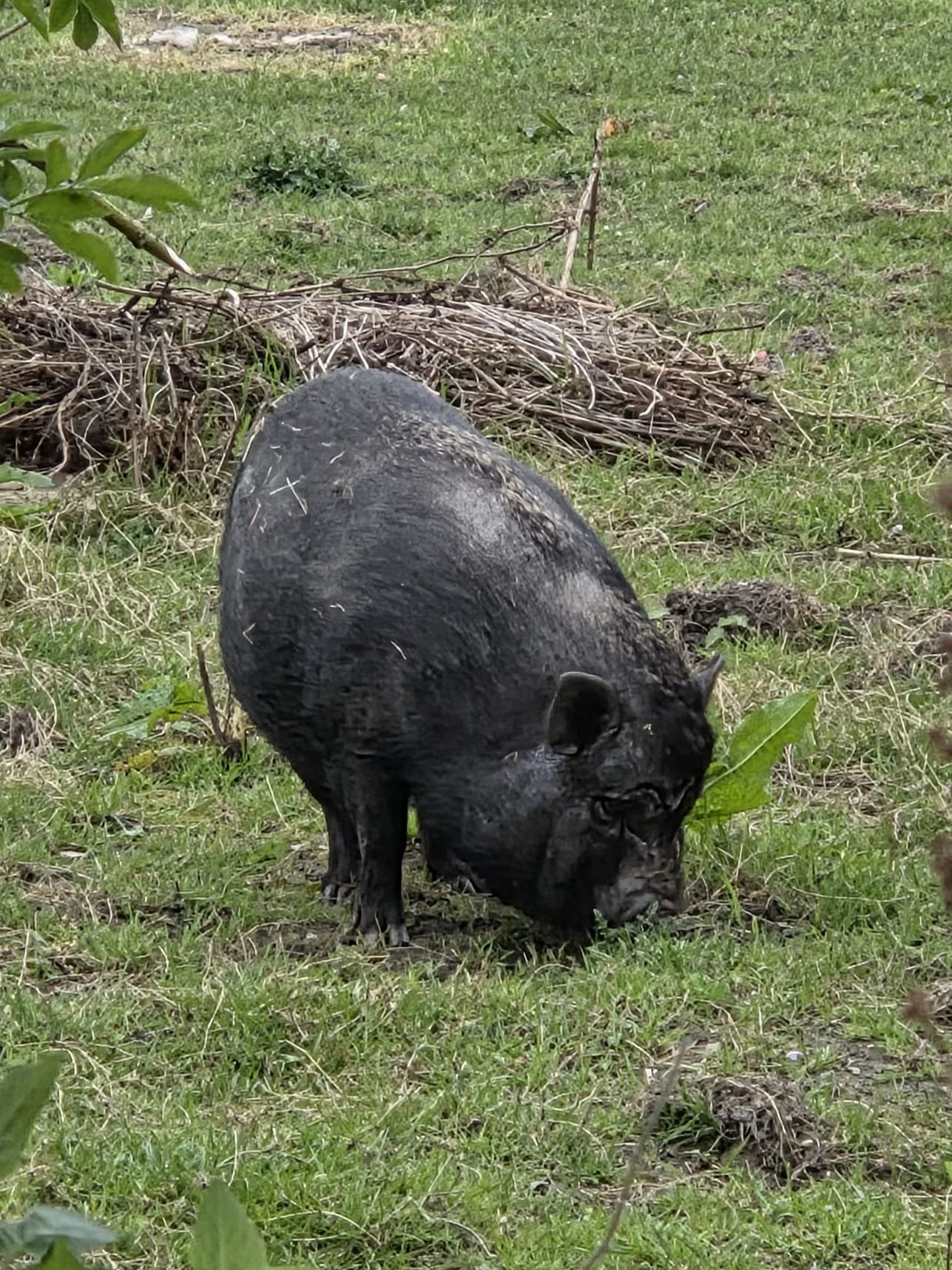 WhatsApp Image 2026-04-12 at 11.24.59 (1).jpeg