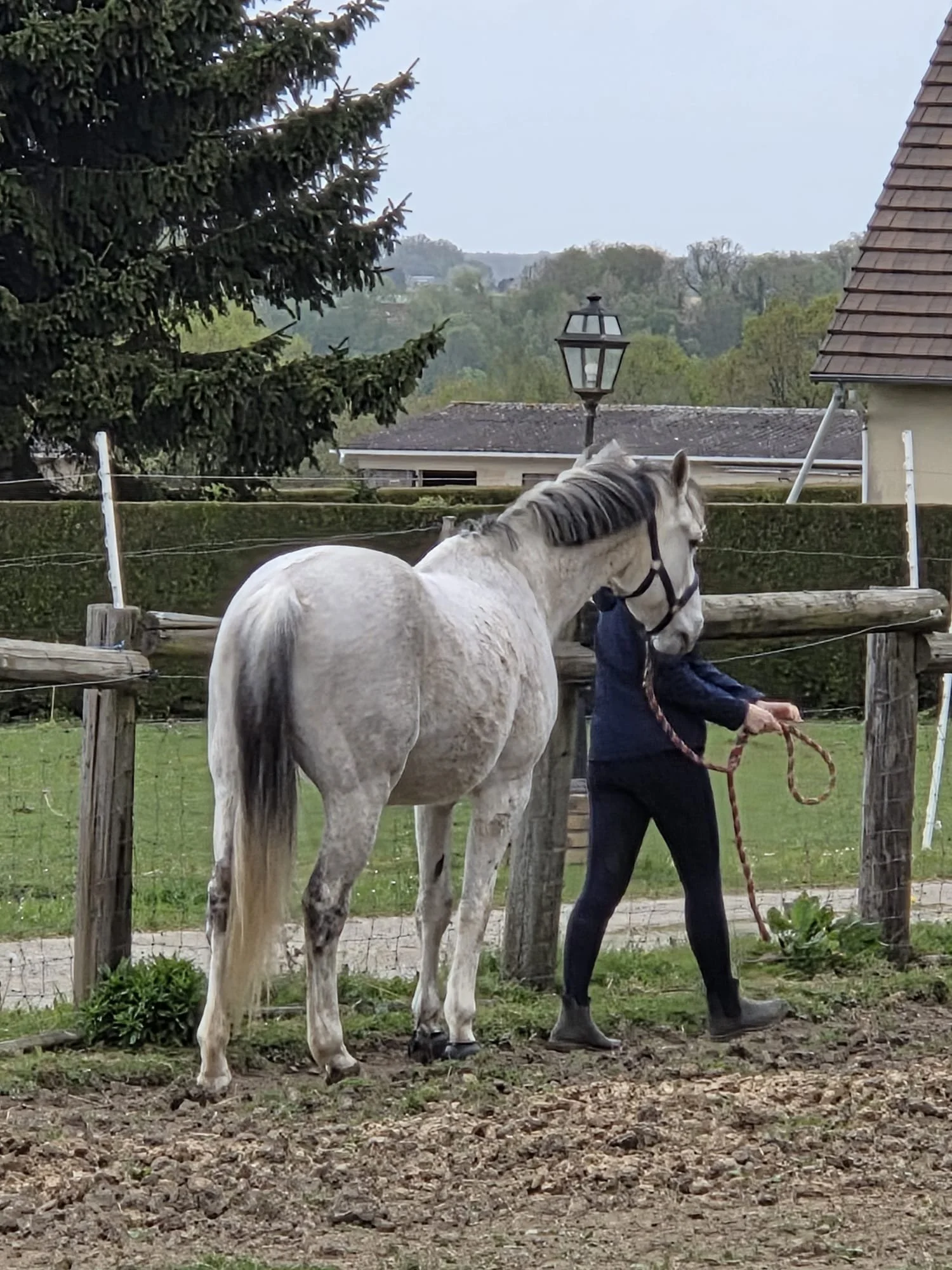 WhatsApp Image 2026-04-12 at 11.24.59 (2).jpeg