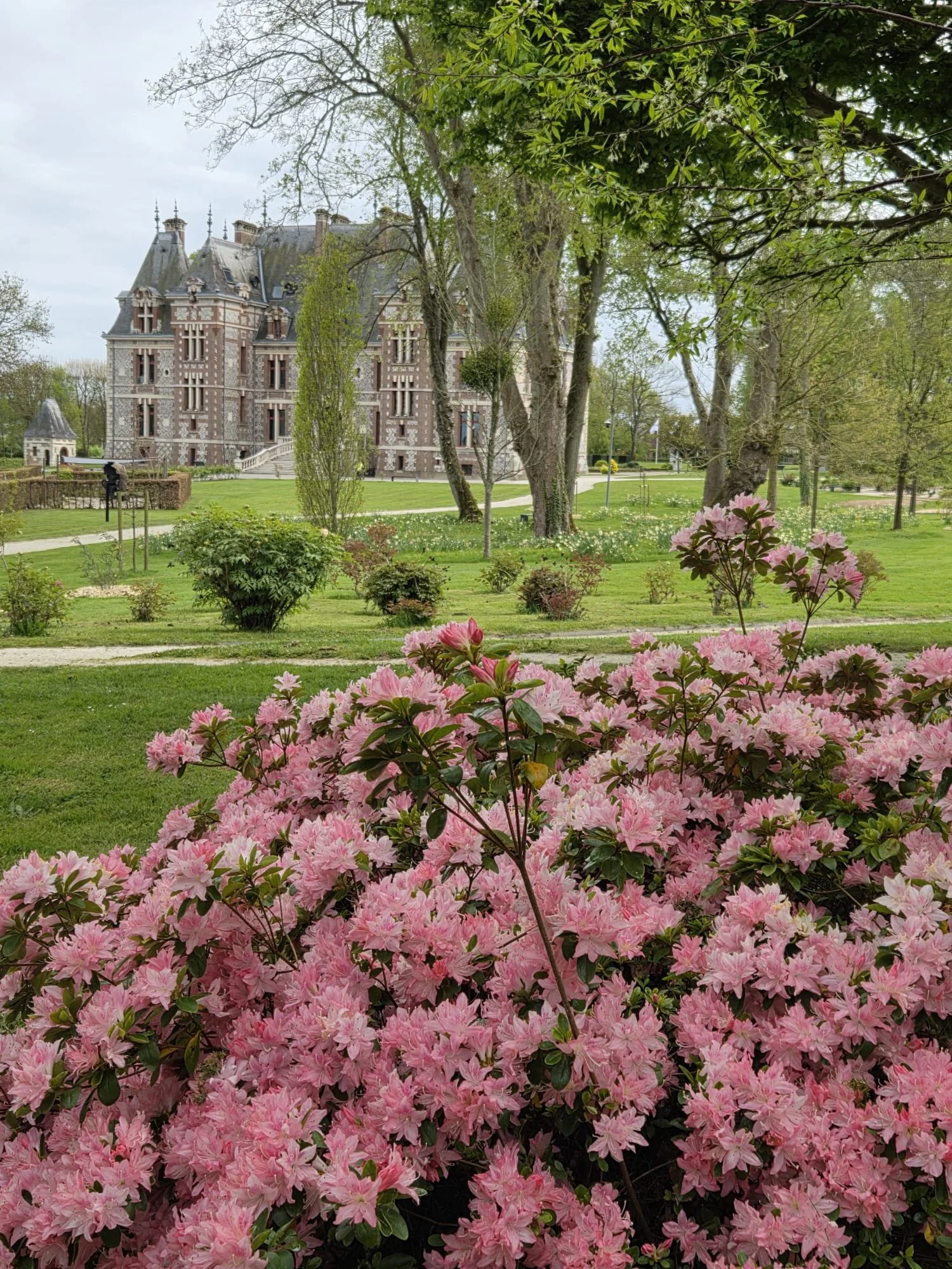 WhatsApp Image 2026-04-12 at 11.25.00 (3).jpeg