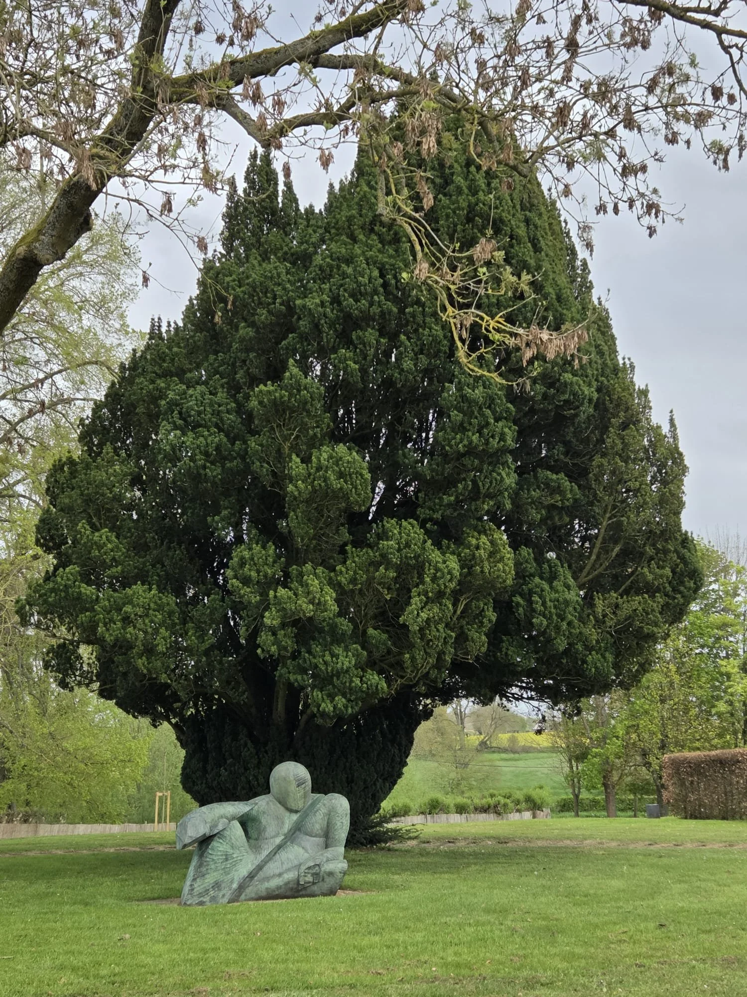 WhatsApp Image 2026-04-12 at 11.25.00 (4).jpeg