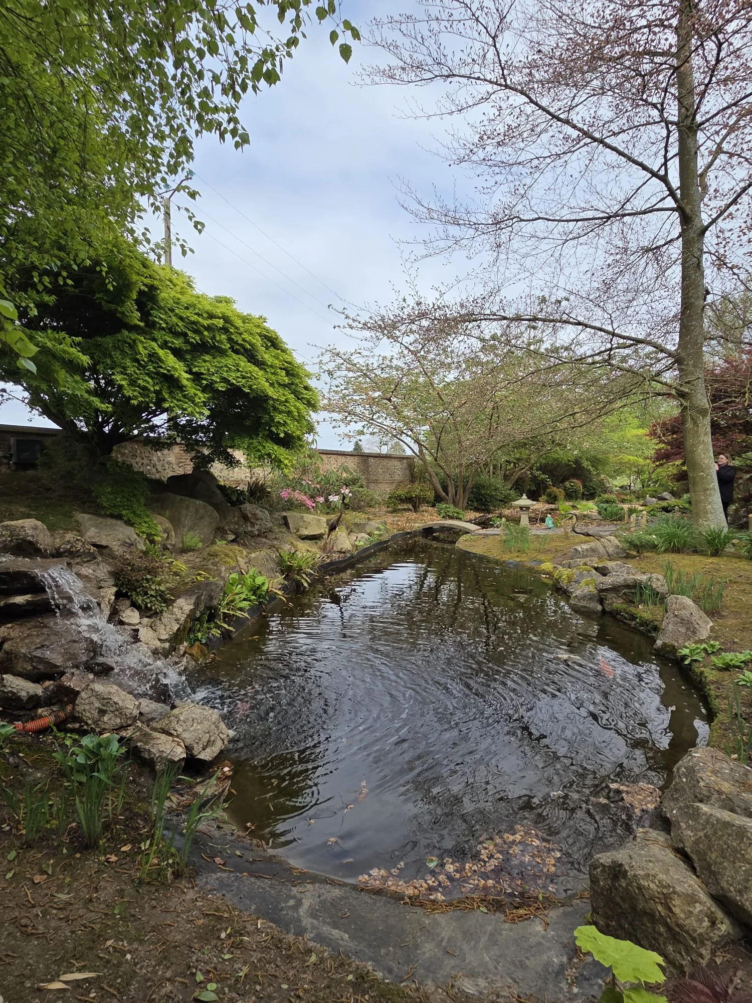 WhatsApp Image 2026-04-12 at 11.25.01 (3).jpeg