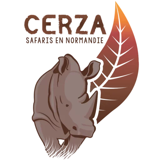 Logo de la réserve de cerfs avec la silhouette d'une tête de cerf et une feuille marron-orange