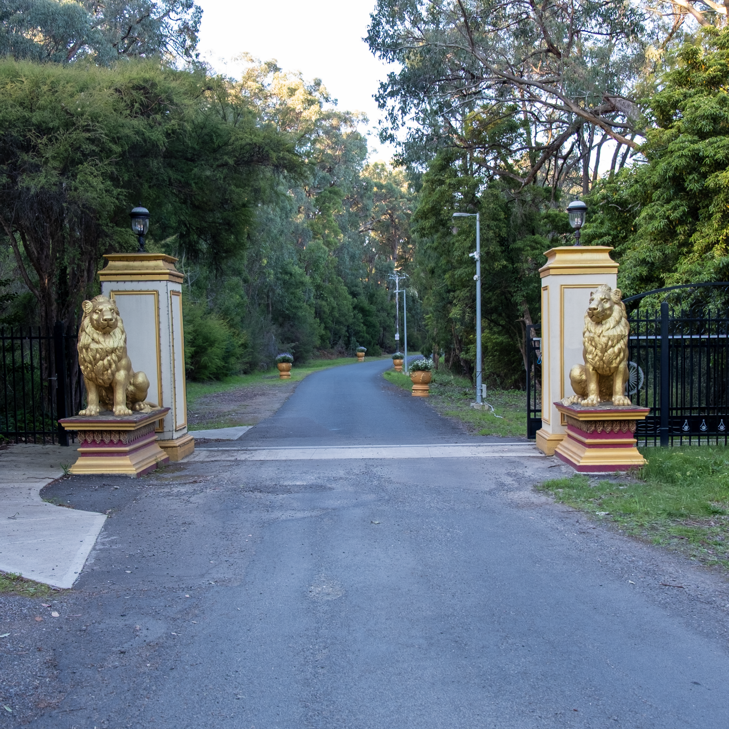 Entrance to Mahamevnawa Buddhist Monastery of Melbourne, a gate with gold lion statues on each side, leading to a winding driveway surrounded by lush green trees.