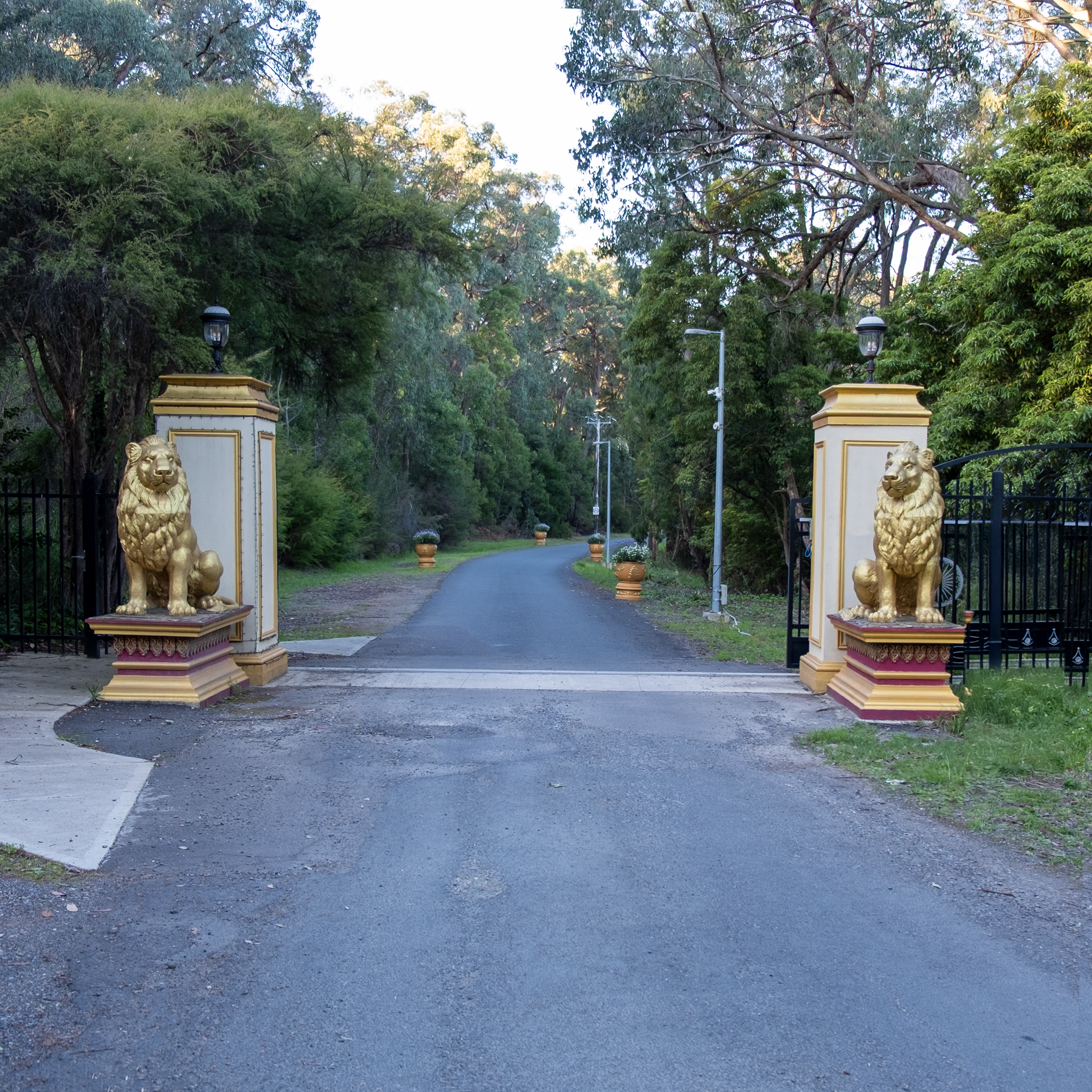 Entrance to a gated property with gold lion statues on white pillars on either side, leading to a winding road surrounded by lush green trees