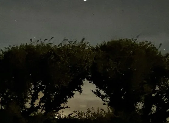 Untitled 2.jpg