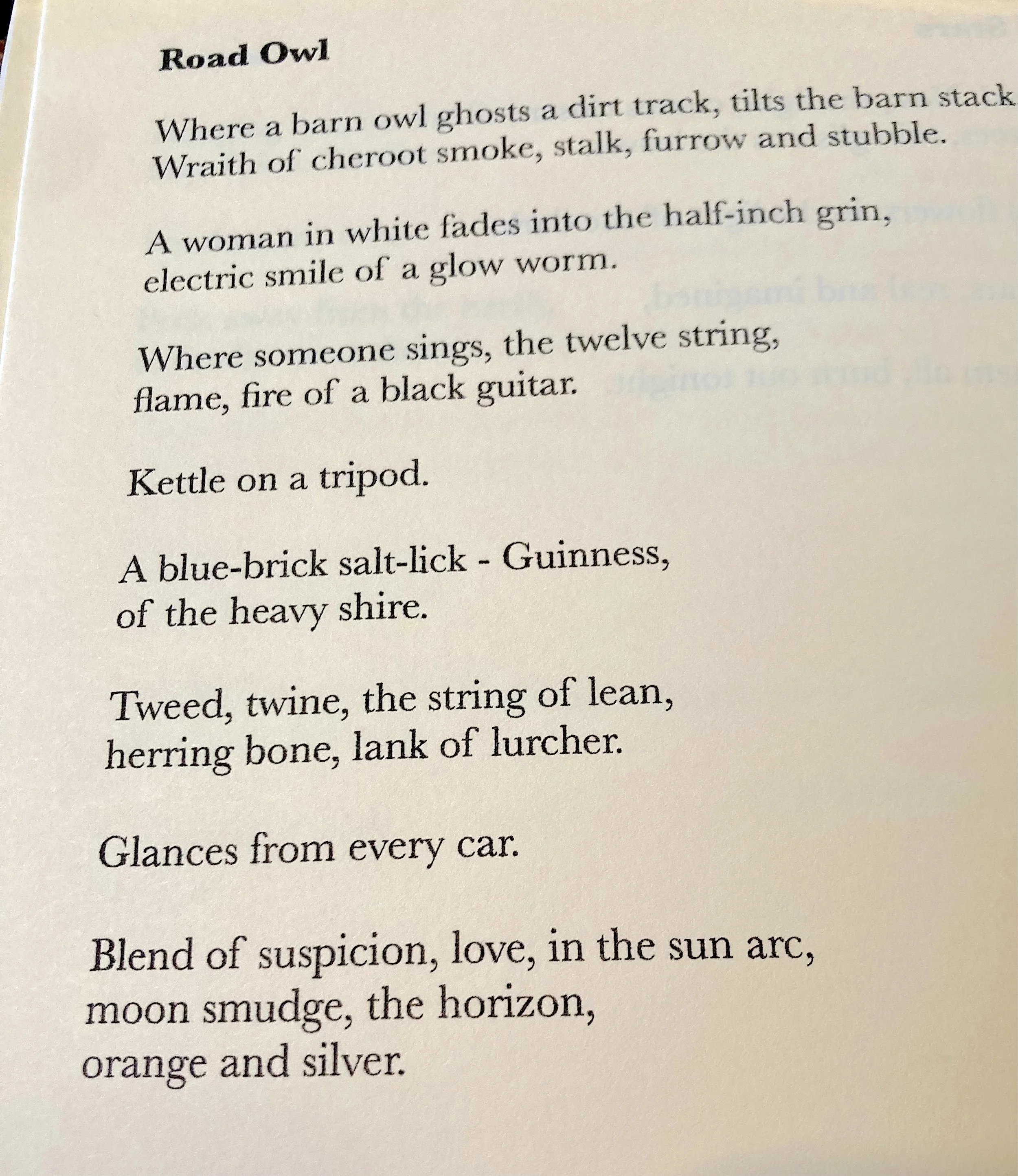 Poem titled 'Road Owl' describing scenes involving a barn owl, a woman, a guitar, a salt lick, a tweed string, cars, and a blend of colors in the sky.