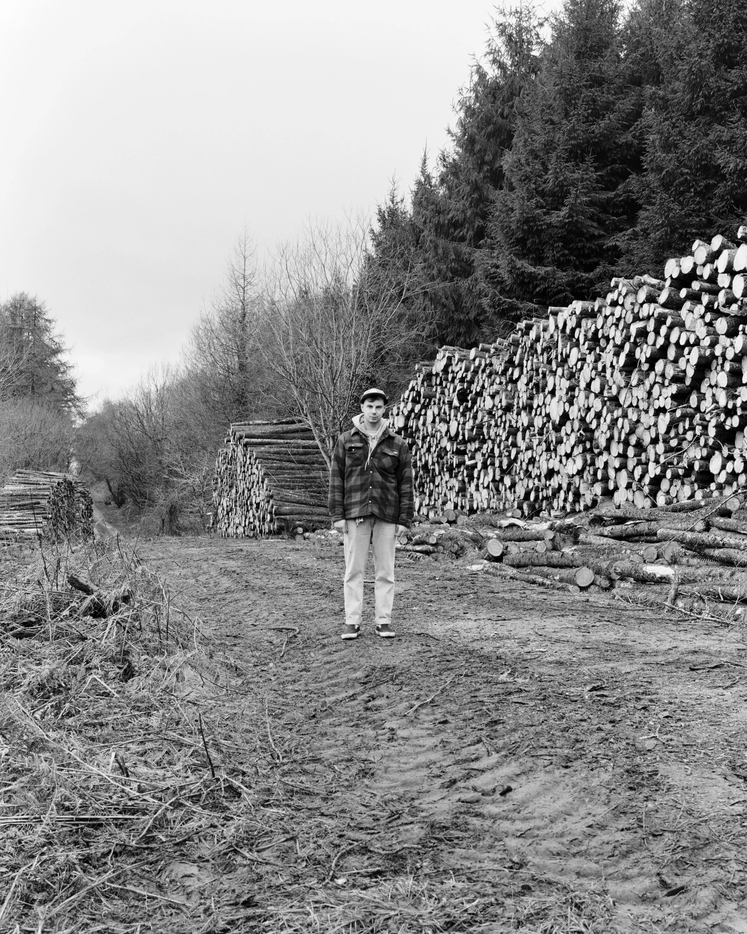 Picture 040 copy.jpg