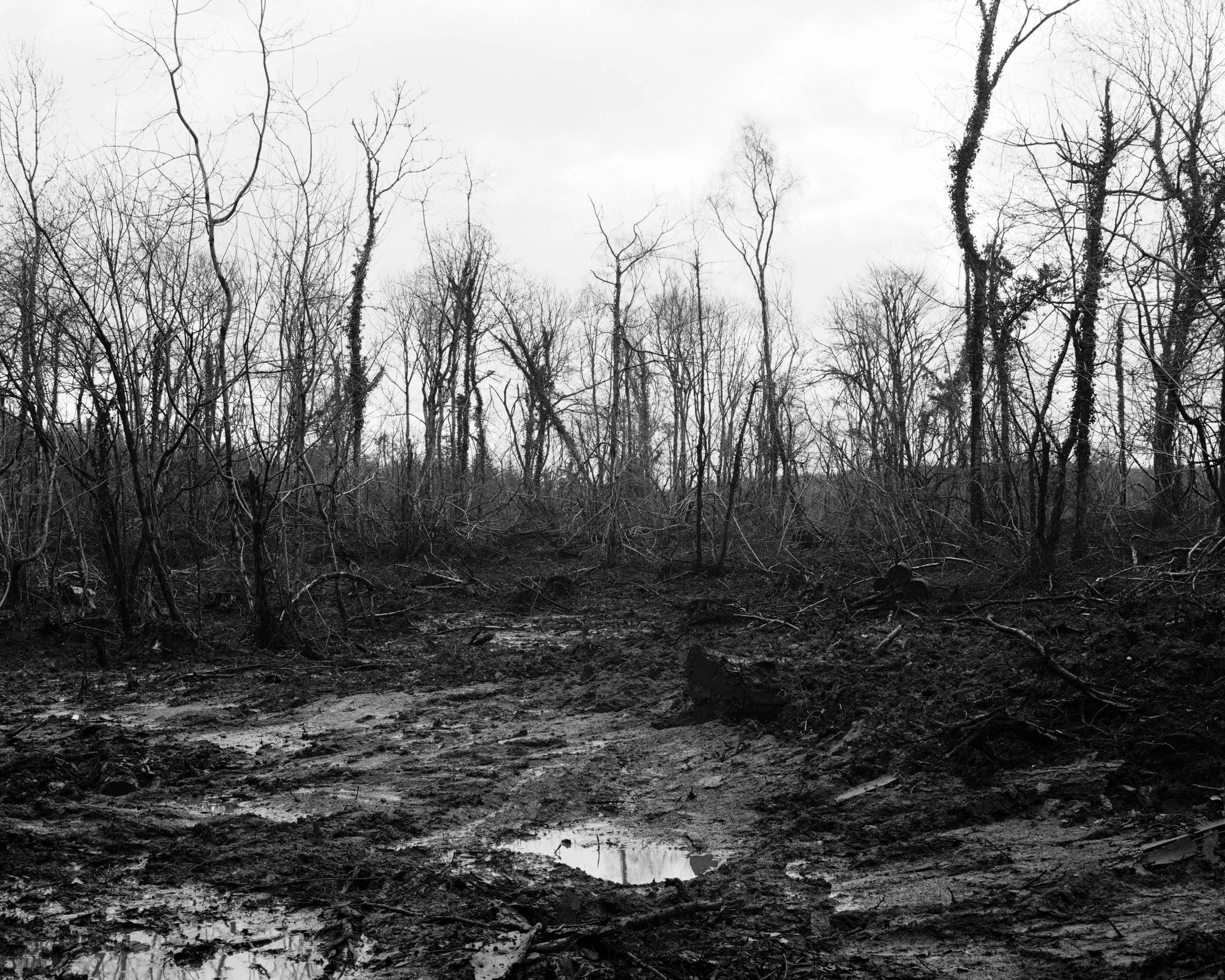 Tongwynlais Fforest Fawr #1.jpg