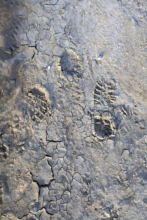3 Footprints in Mud.jpg