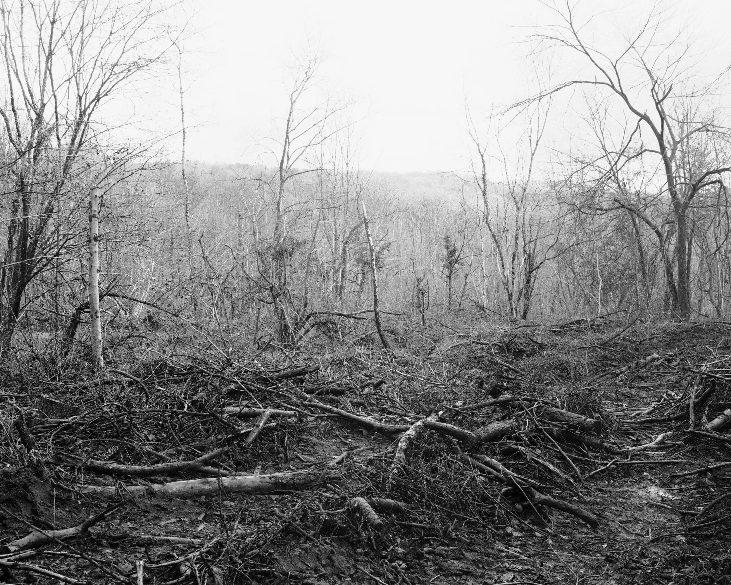 Tongwynlais Fforest Fawr #2.jpg