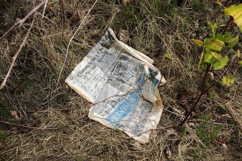 6 Brexit Shows First Signs.jpg