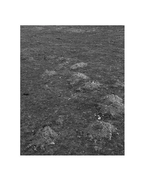 molehills5x4.jpg