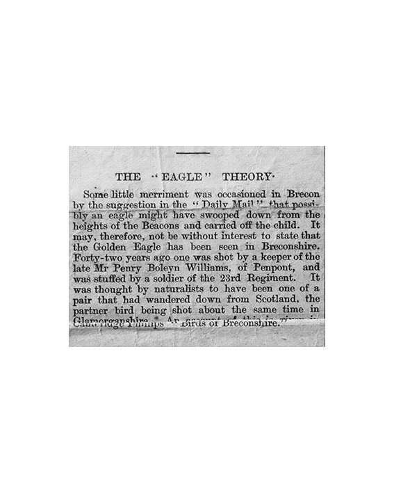 eagle theory copy copy.jpg