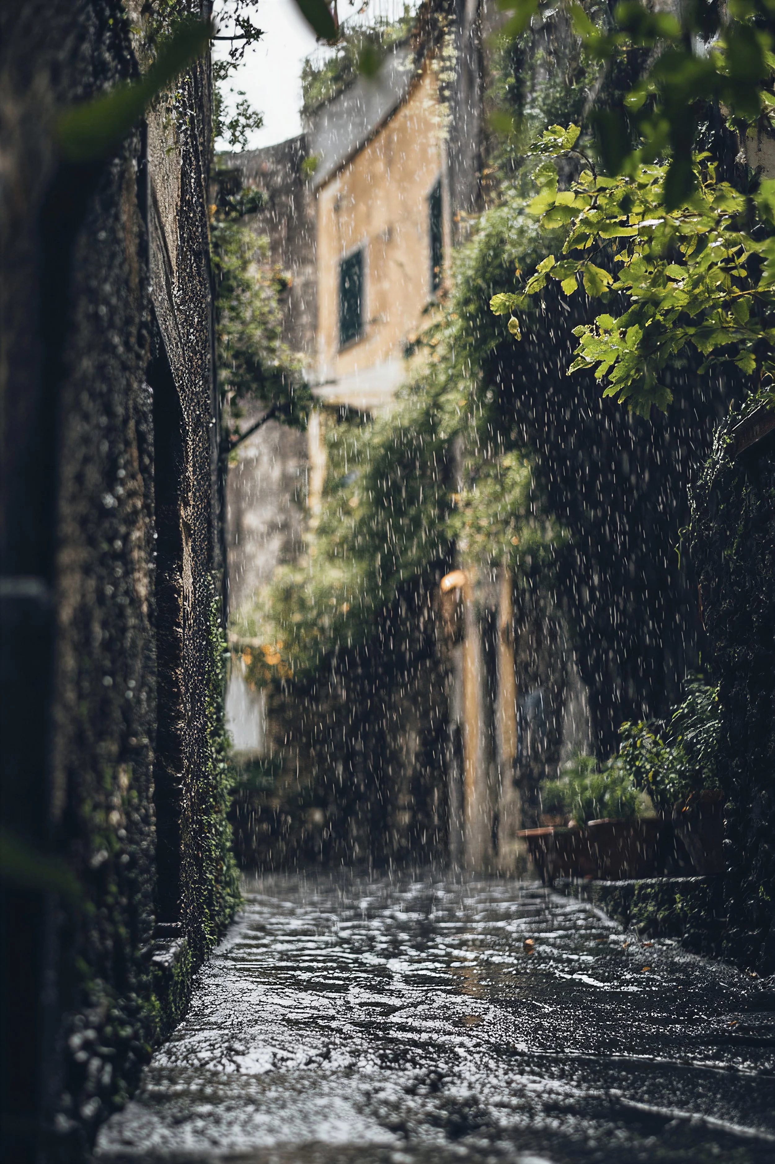 A gennaio piove sempre a casa tua