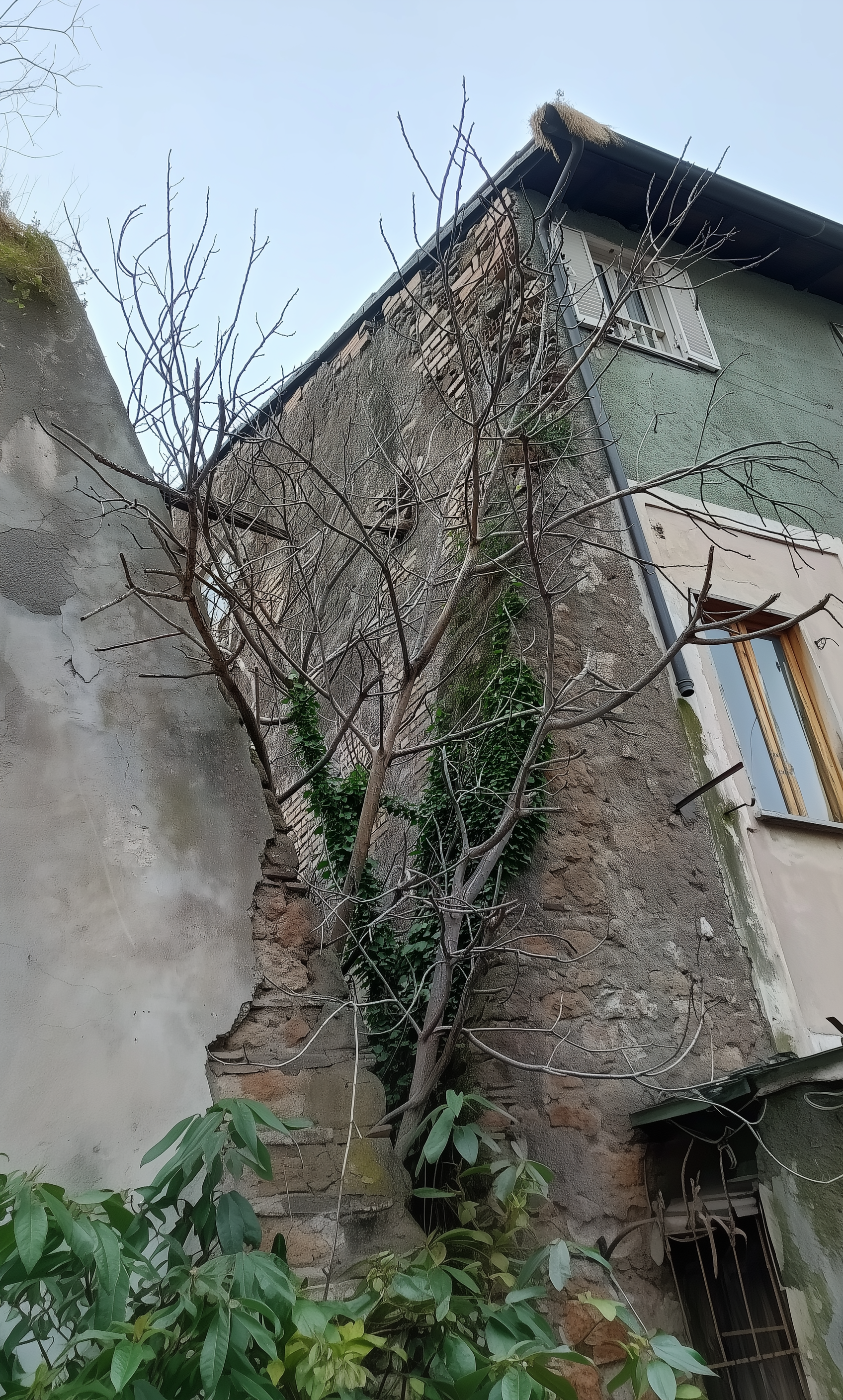 Law of the First Seat