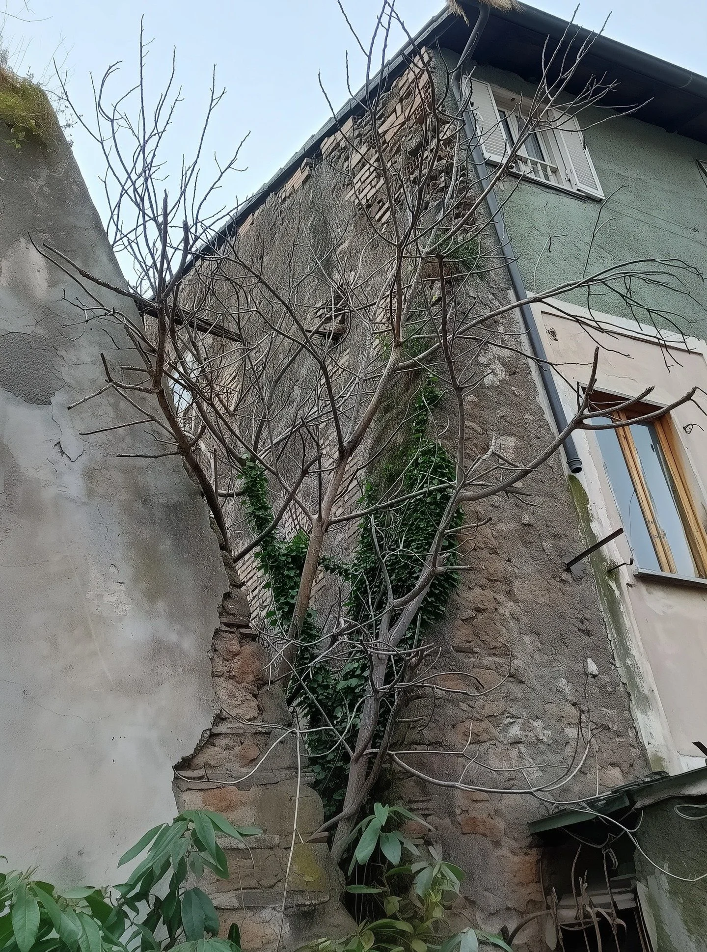 Law of the First Seat, I #napoli #naples #italy #igersitalia #ig_italia #urbex #abandoned #abandonedplaces #urbanexploration #decay #urbanphotography #architecturephotography #moodygrams #naturevsurban #overgrown